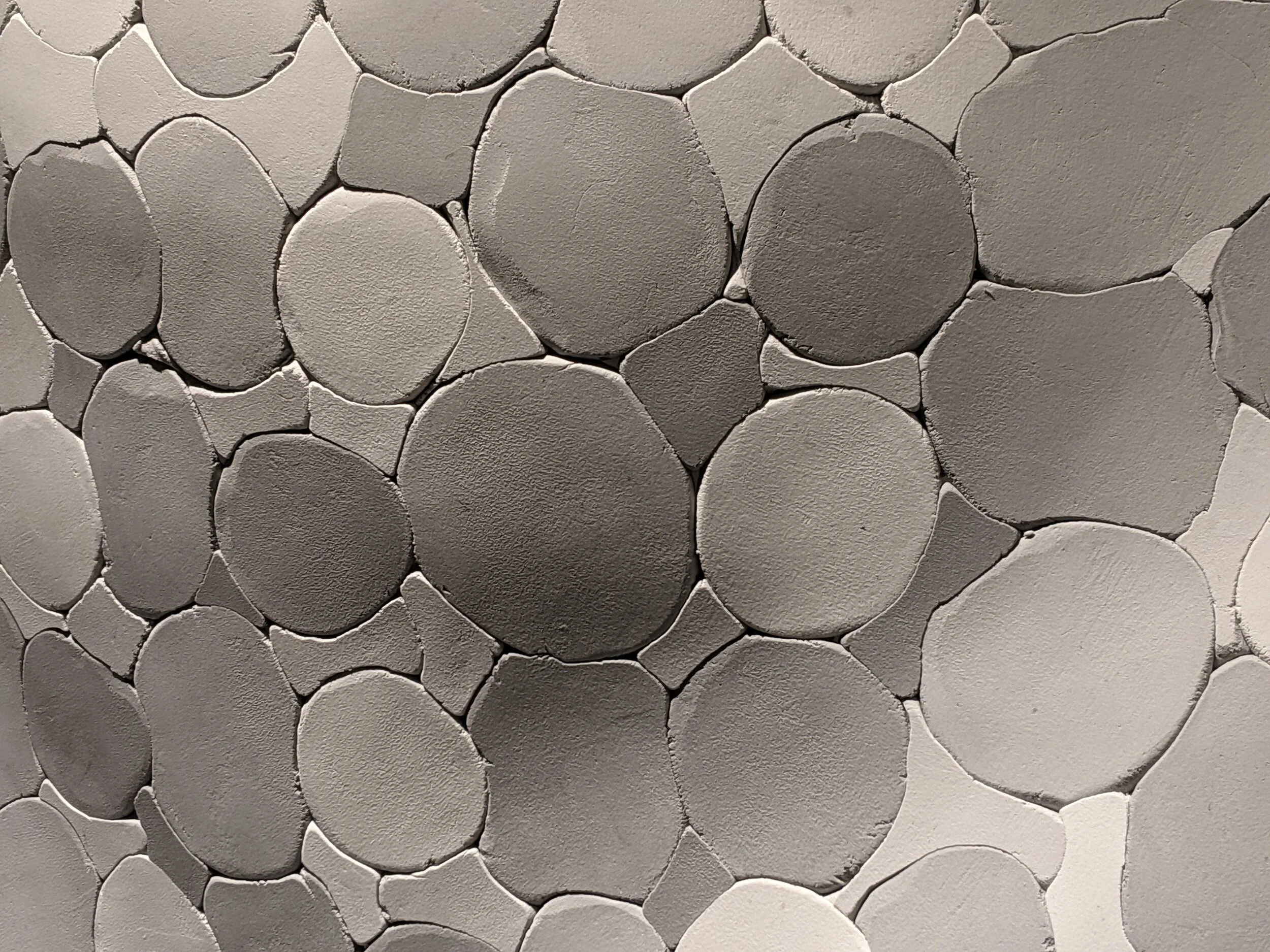 PXL_20210510_021723112.jpg