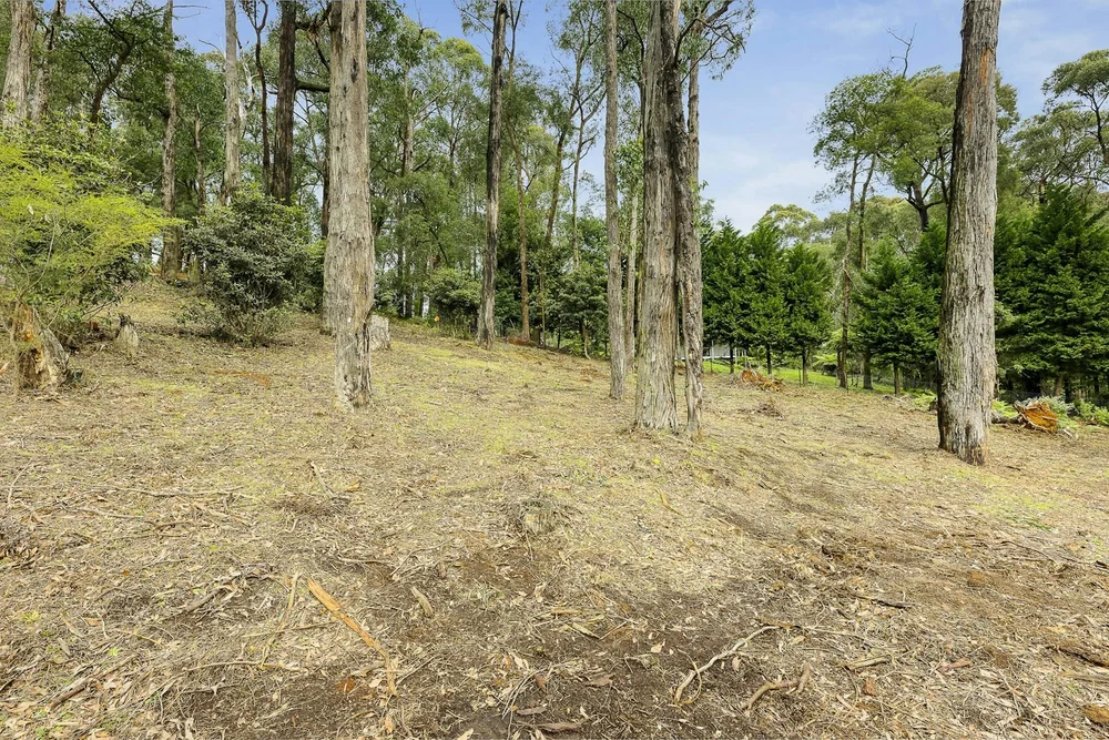 (WEB) 52A View Hill Rd, Cockatoo, VIC 3781 (3).jpeg