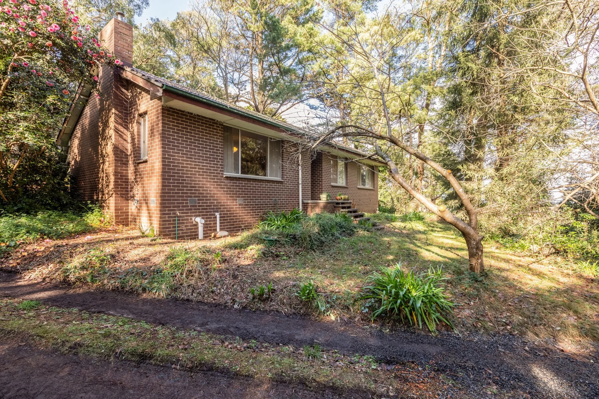 2-4 Statrion Ave, Emerald-G_Ext-W-20.jpg