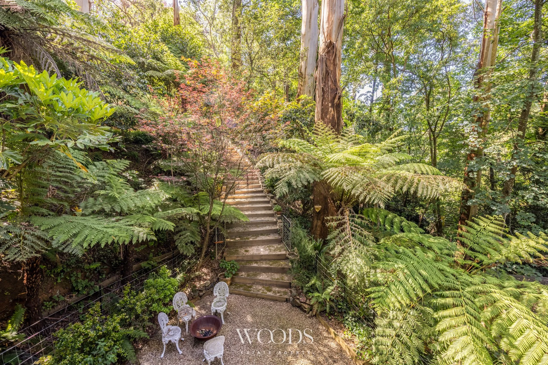 338MDTRdSassafras - G-WebWM-13.jpg