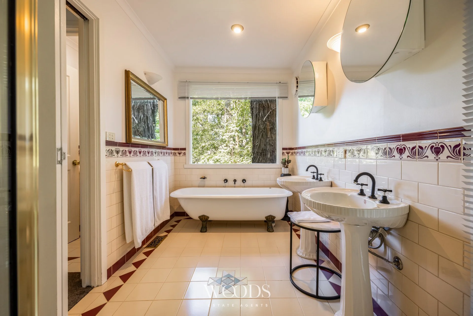 338MDTRdSassafras - G-WebWM-23.jpg