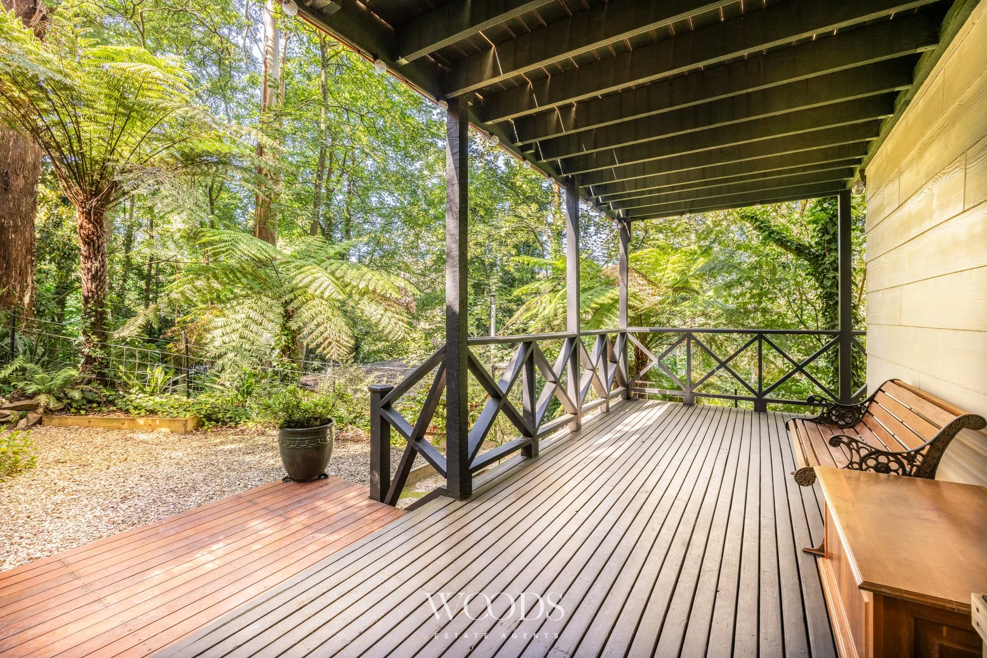 338MDTRdSassafras - G-WebWM-28.jpg