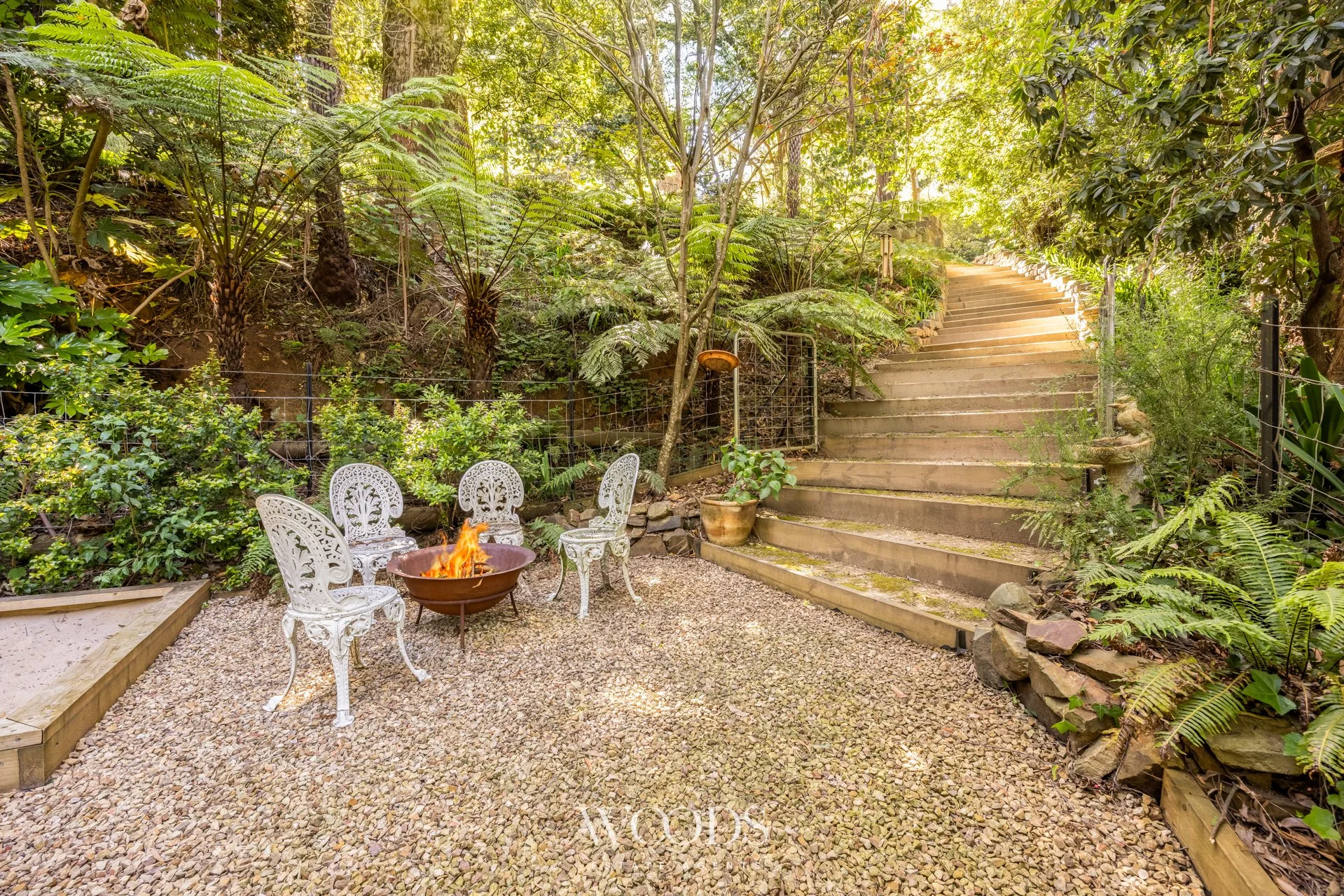 338MDTRdSassafras - G-WebWM-32.jpg