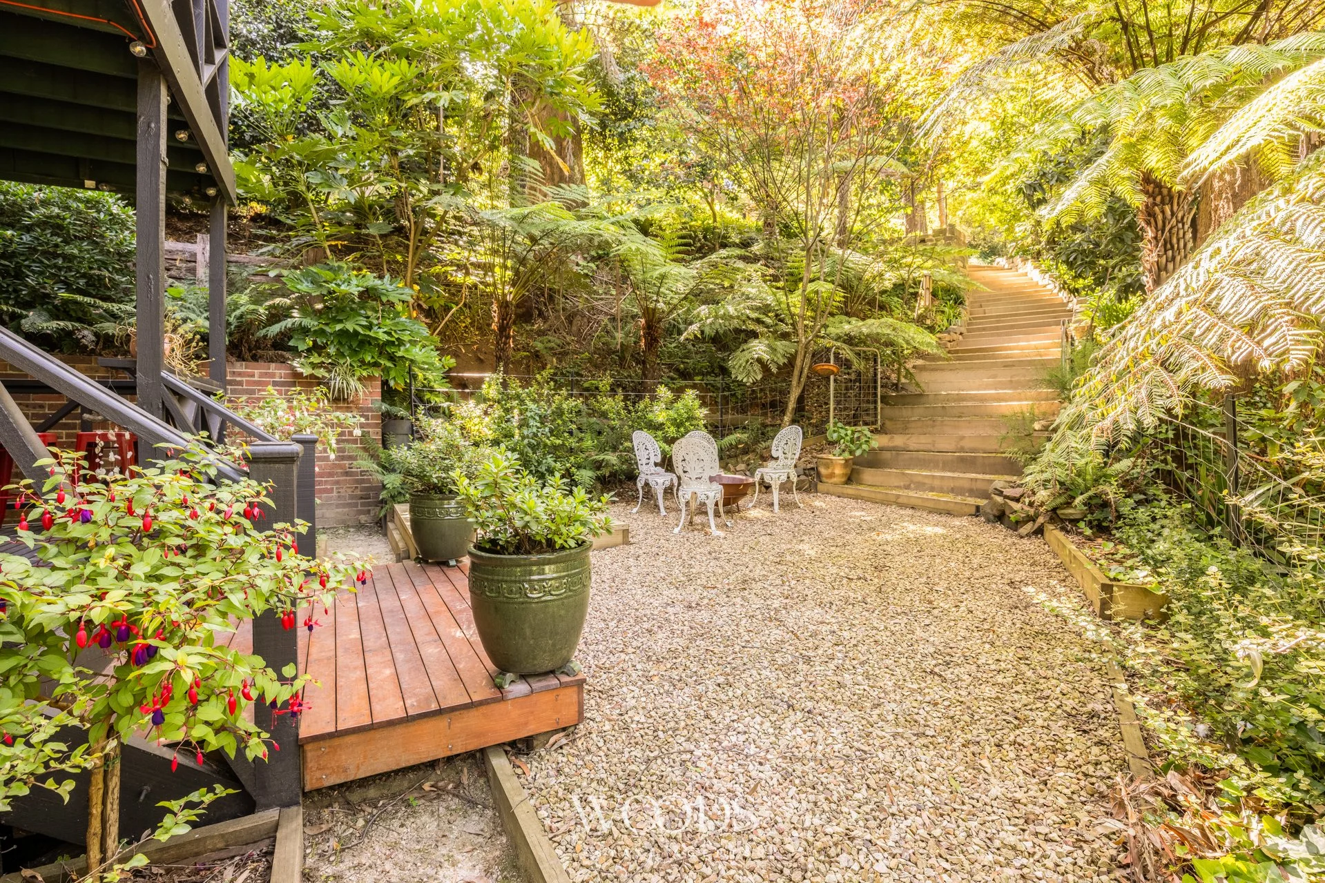 338MDTRdSassafras - G-WebWM-39.jpg