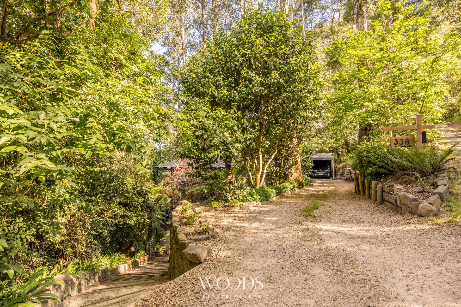 338MDTRdSassafras - G-WebWM-49.jpg