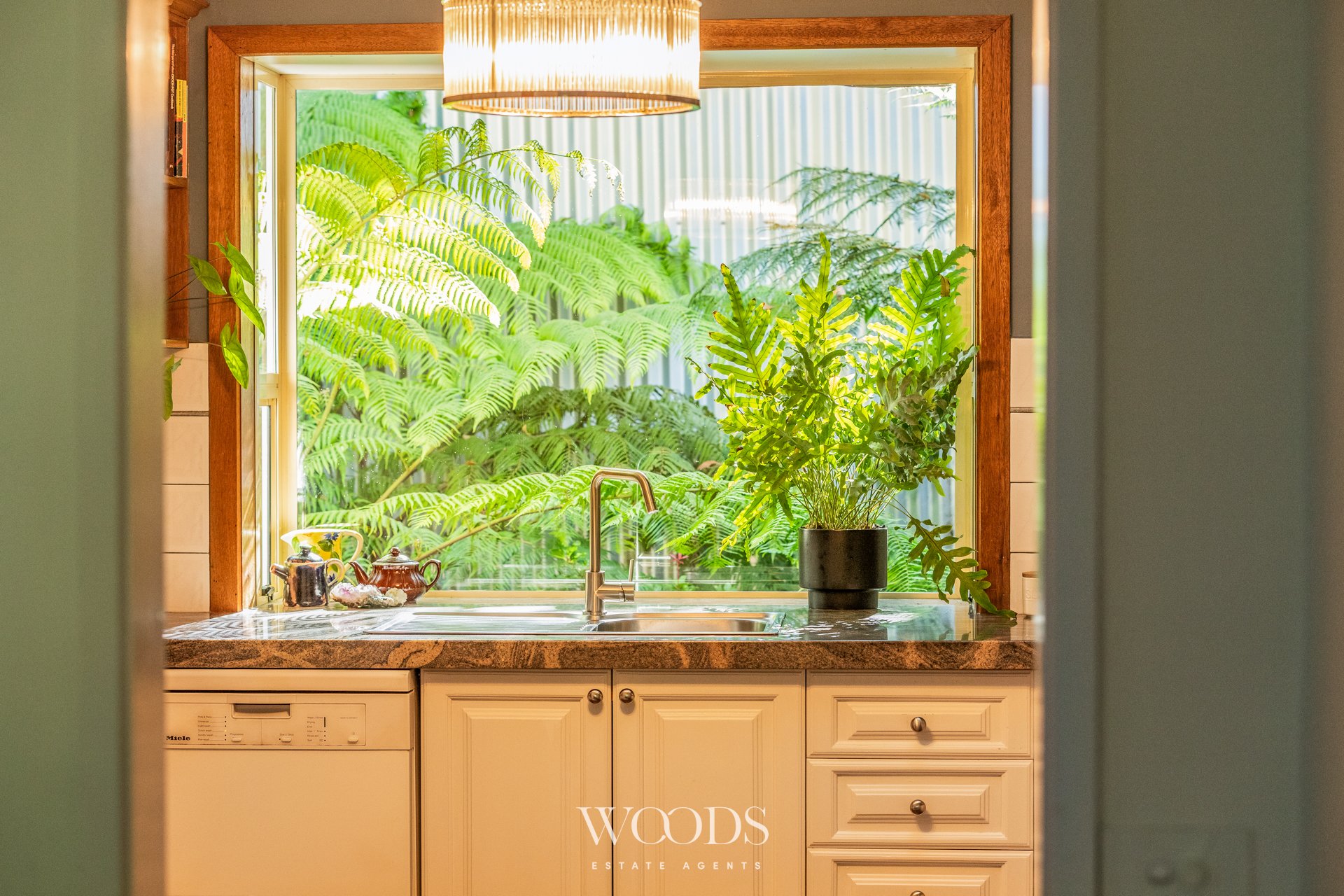 338MDTRdSassafras - L-WebWM-12.jpg