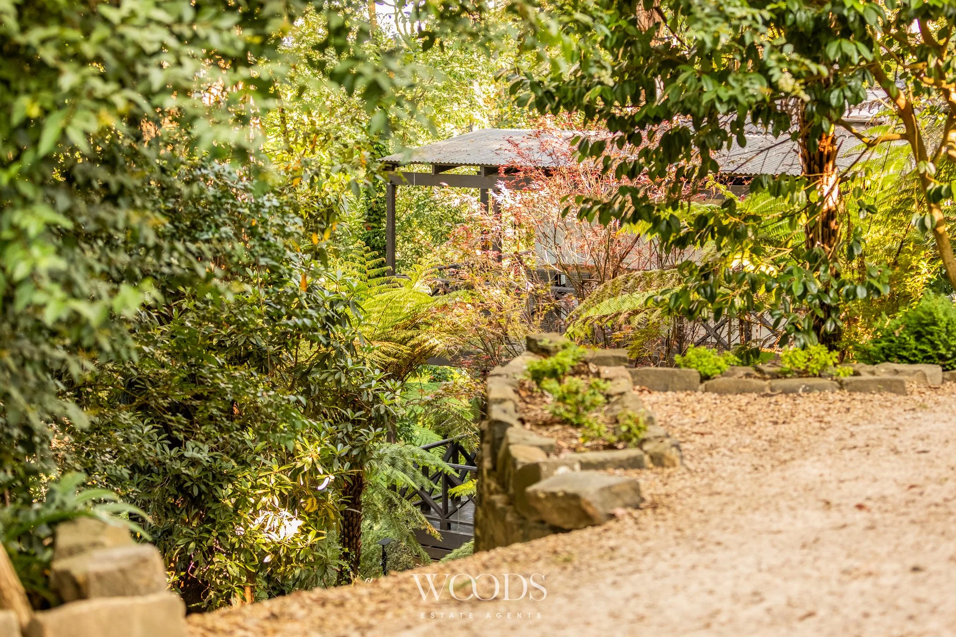 338MDTRdSassafras - L-WebWM-58.jpg