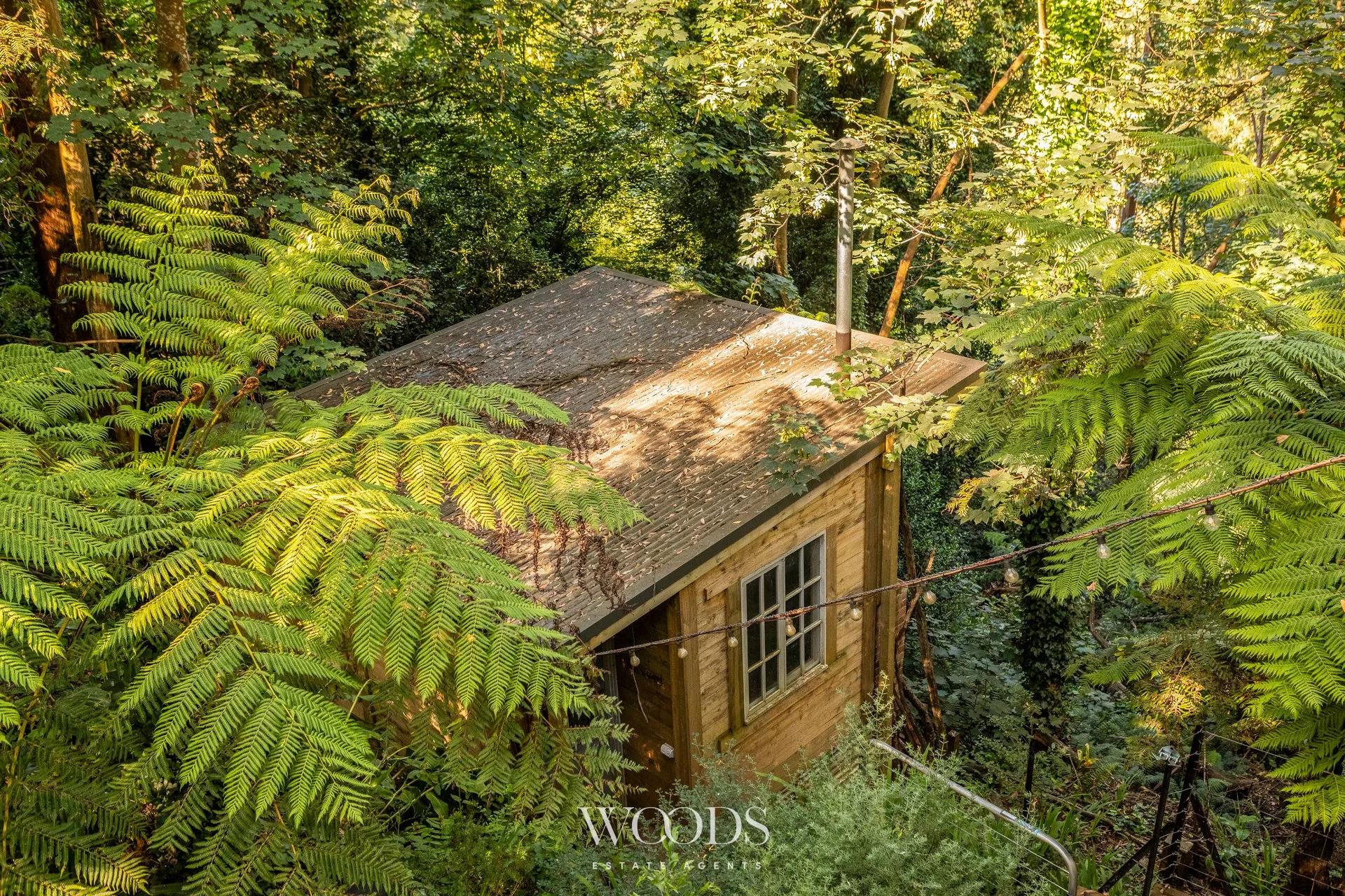 338MDTRdSassafras - L-WebWM-51.jpg