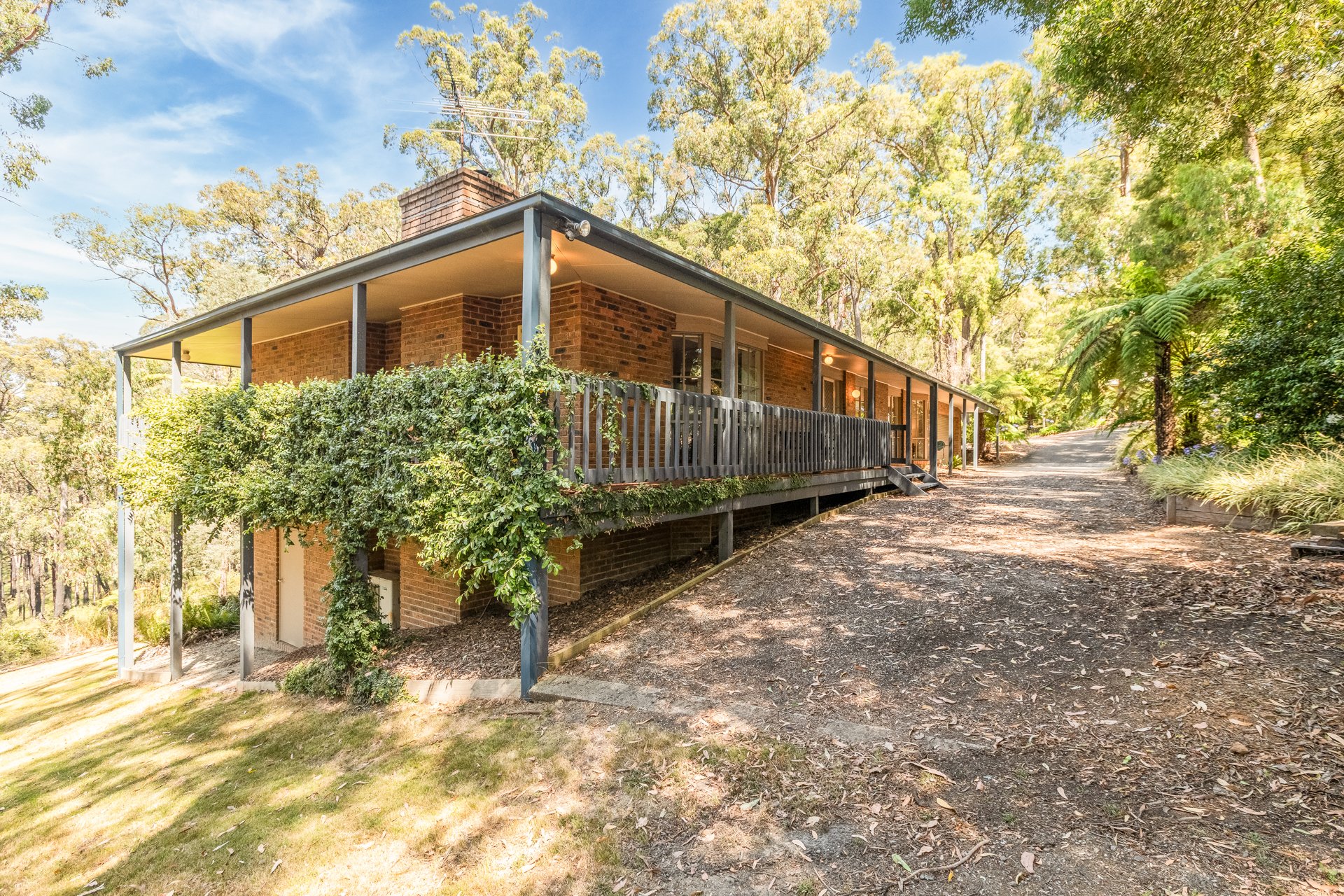 6 Wattle Crt Emerald - G-W-41.jpg