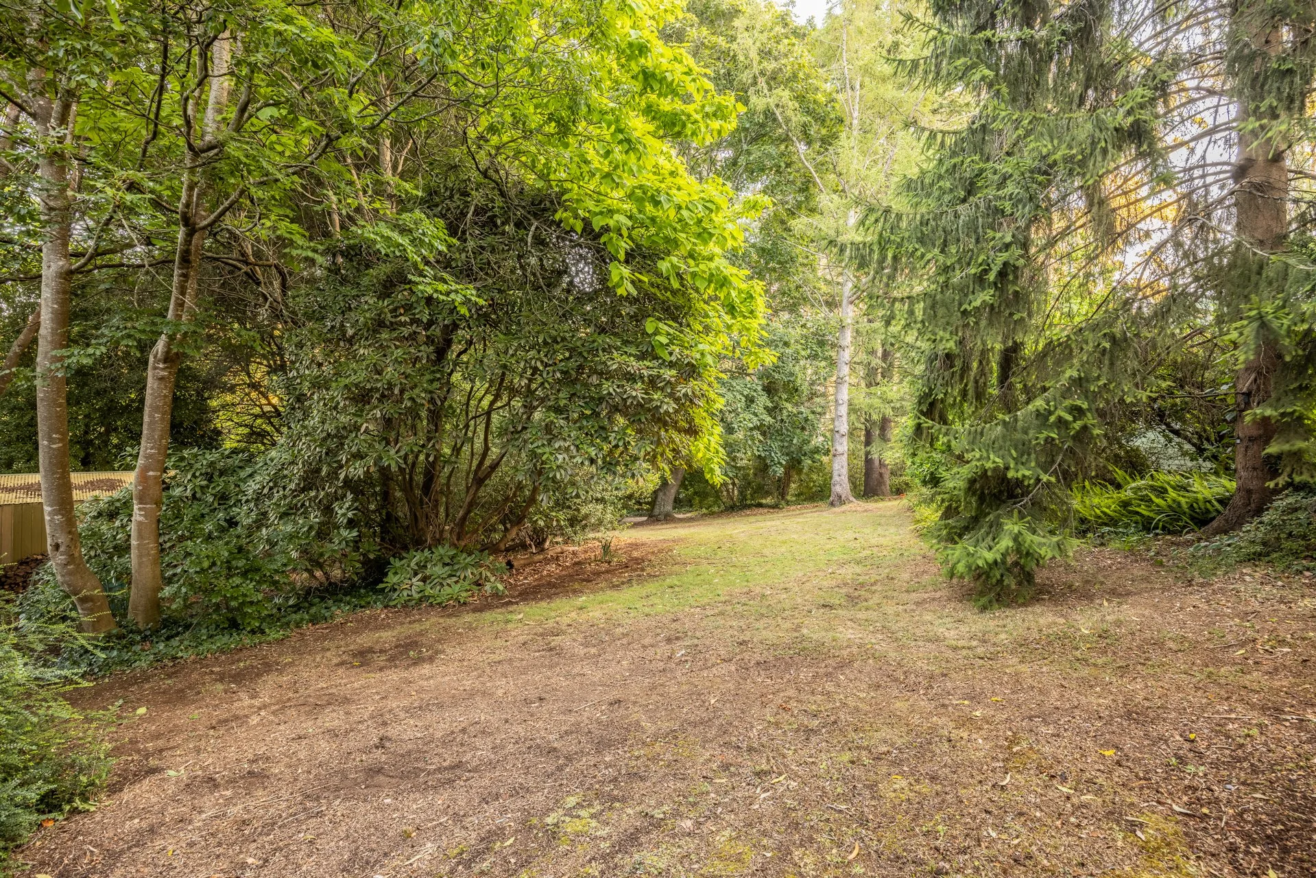 2ClarksonRdKallista - G-W-52.jpg