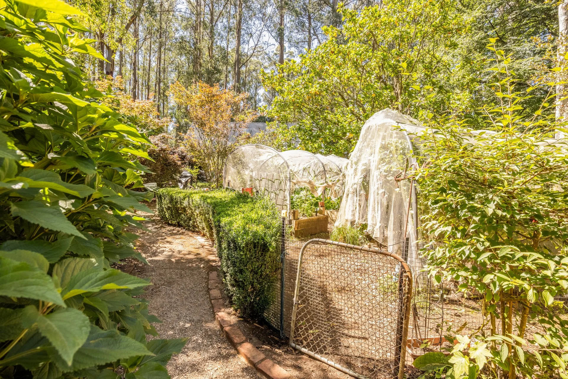 8 yvonne rd, MTD - G-W-11.jpg