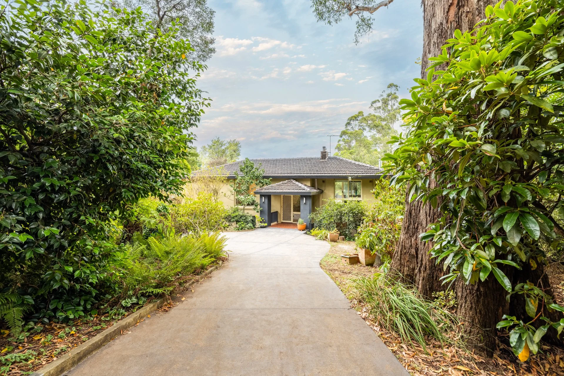 45 Ridge Road, MD - G-W-48.jpg