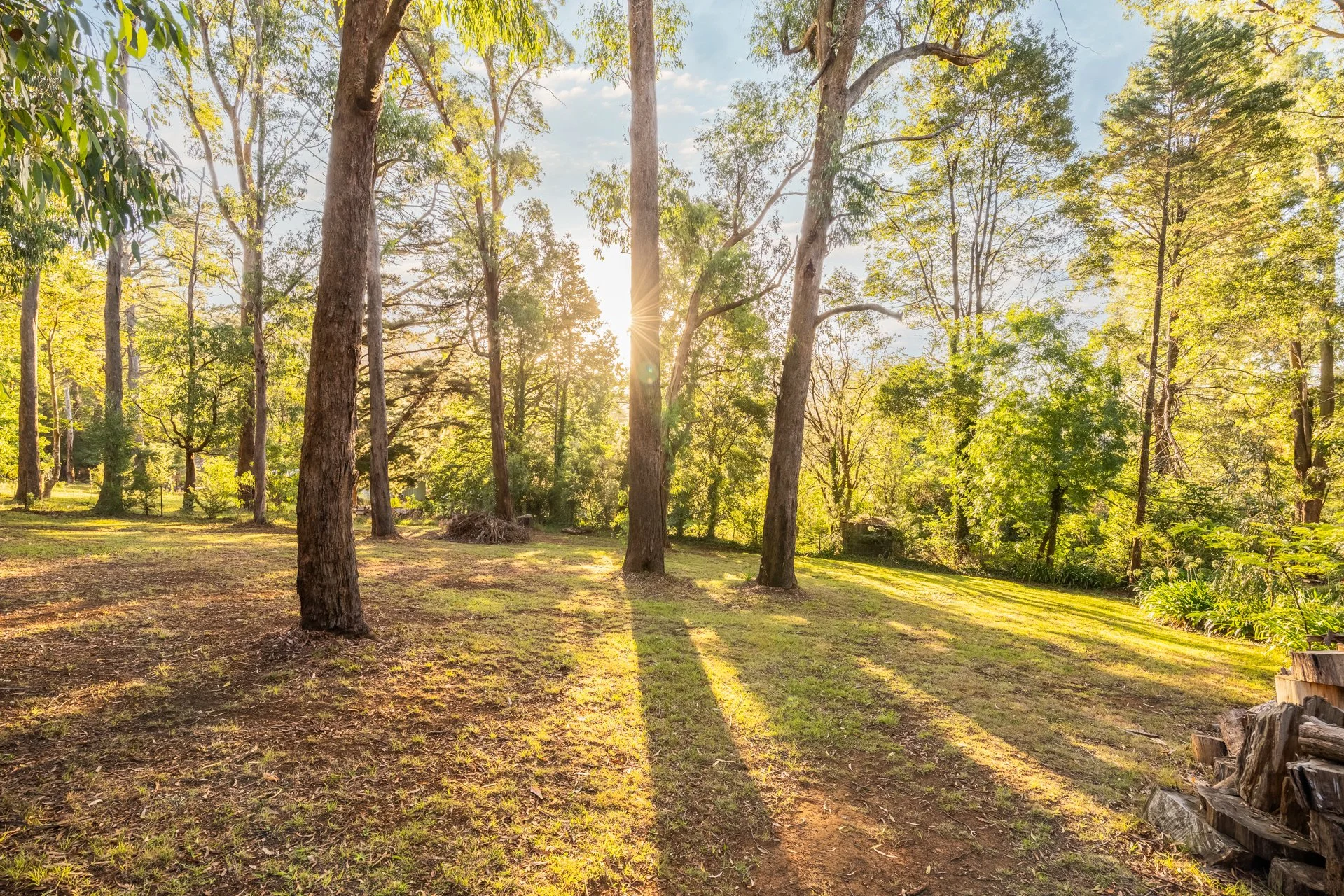 20FlorenceAve, Emerald - G-W-40.jpg