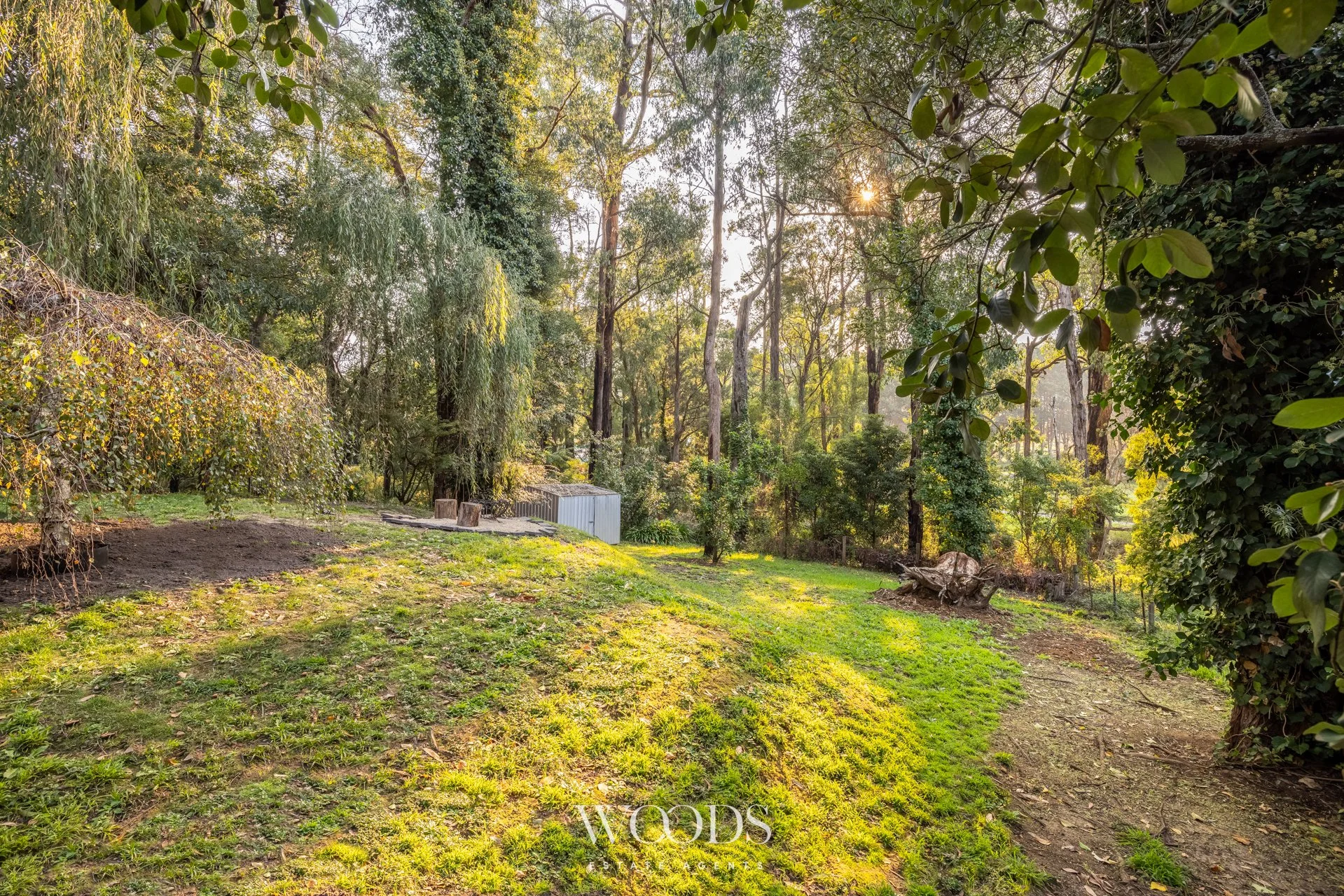 99 Mount Pleasant Rd - G-WWM-32.jpg