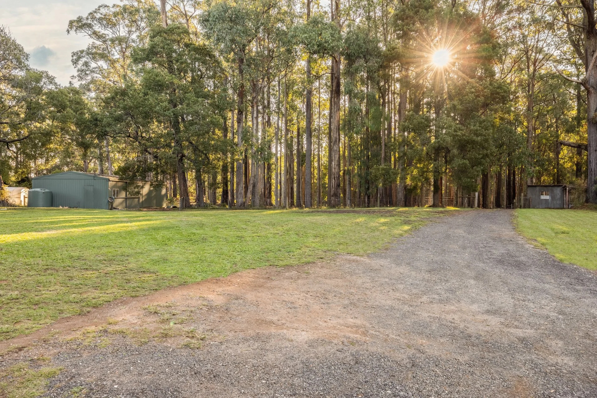 250 Gembrook-Tonimbuk Rd - G-W-1.jpg