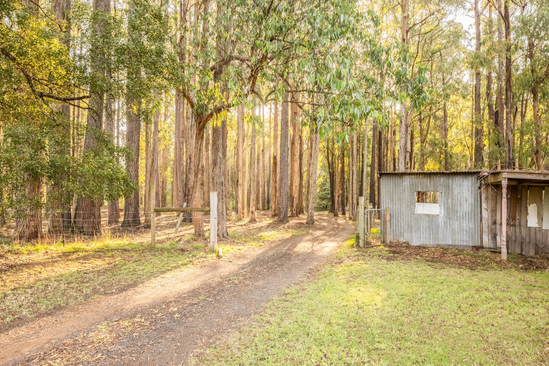 250 Gembrook-Tonimbuk Rd - G-W-5.jpg