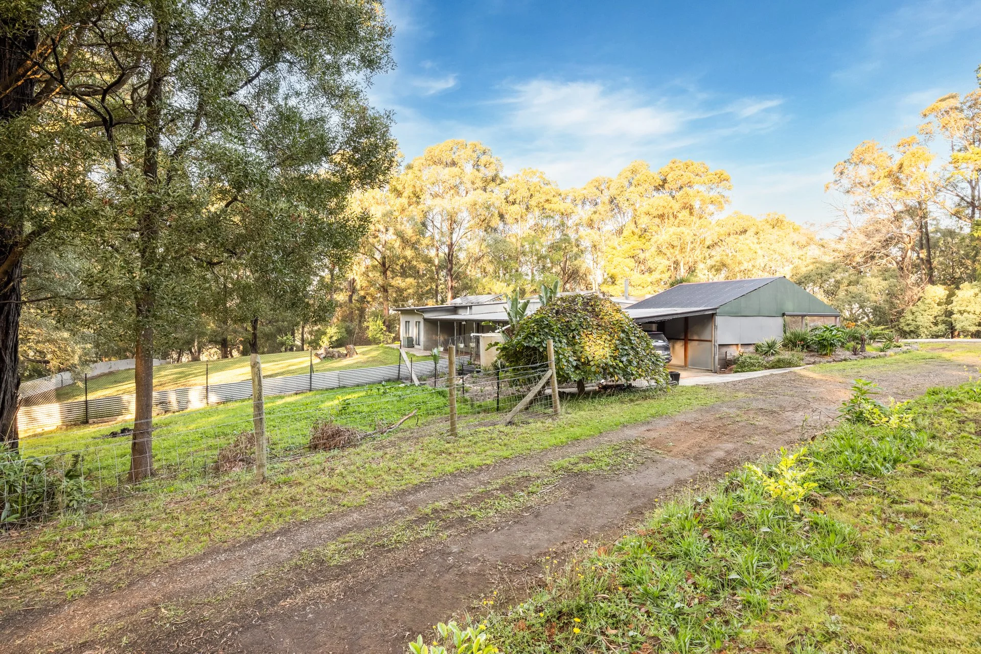 250 Gembrook-Tonimbuk Rd - G-W-6.jpg