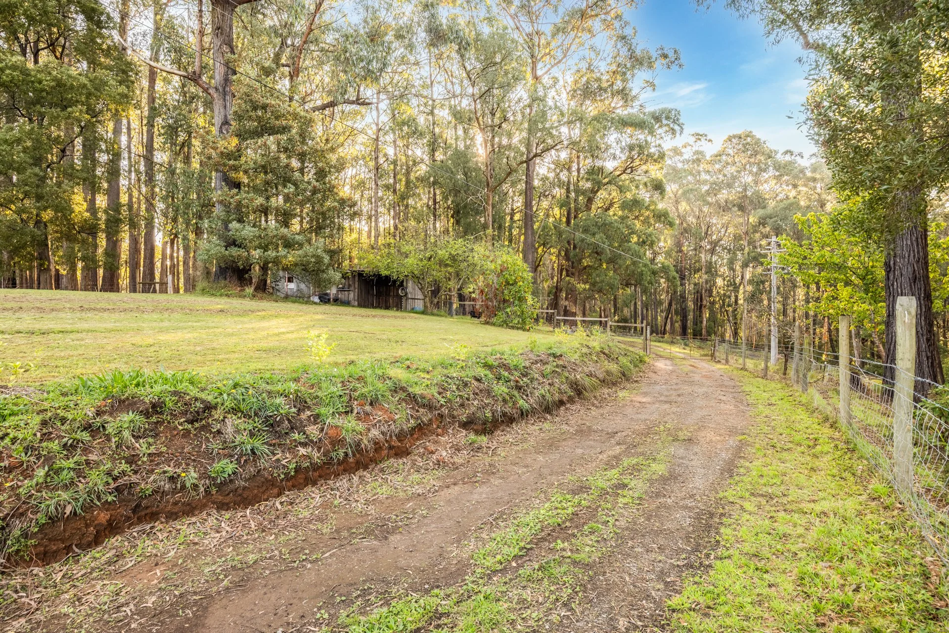 250 Gembrook-Tonimbuk Rd - G-W-7.jpg