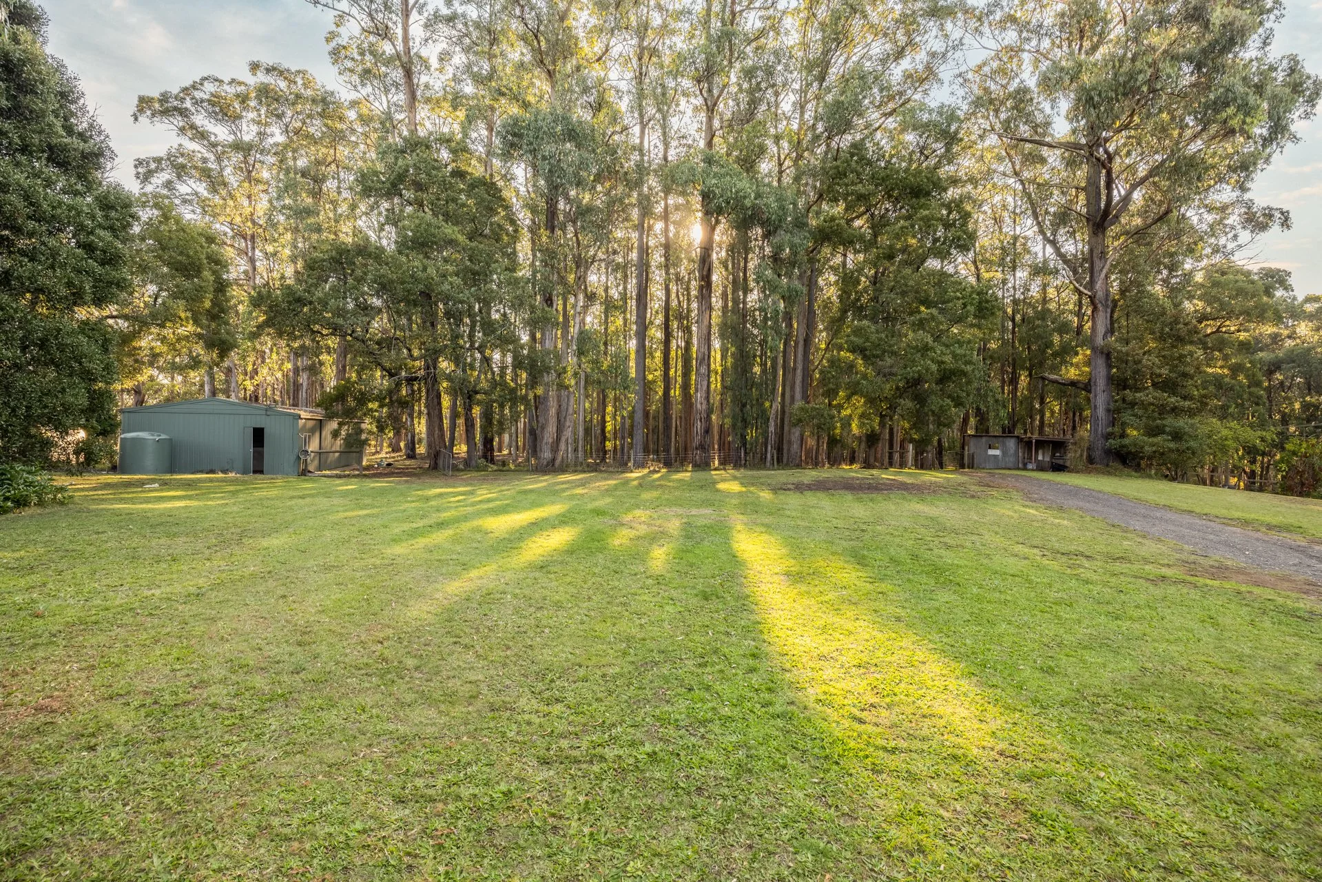 250 Gembrook-Tonimbuk Rd - G-W-2.jpg