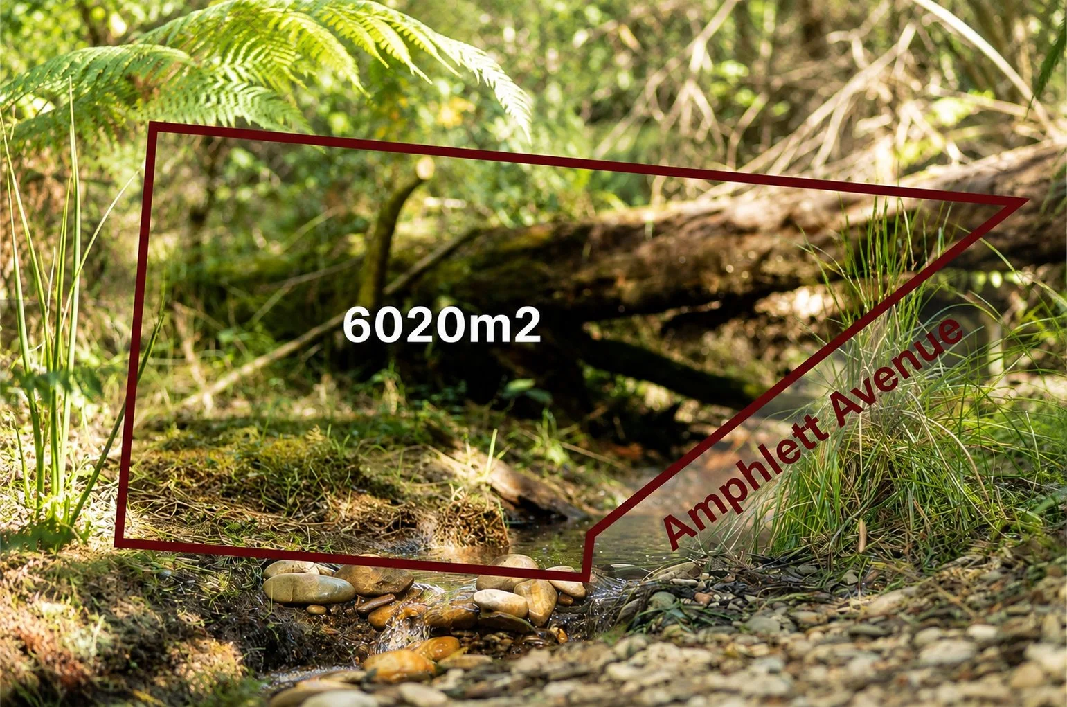 38_Amphlett_Avenue_6020m2_Land_Overlay.jpg