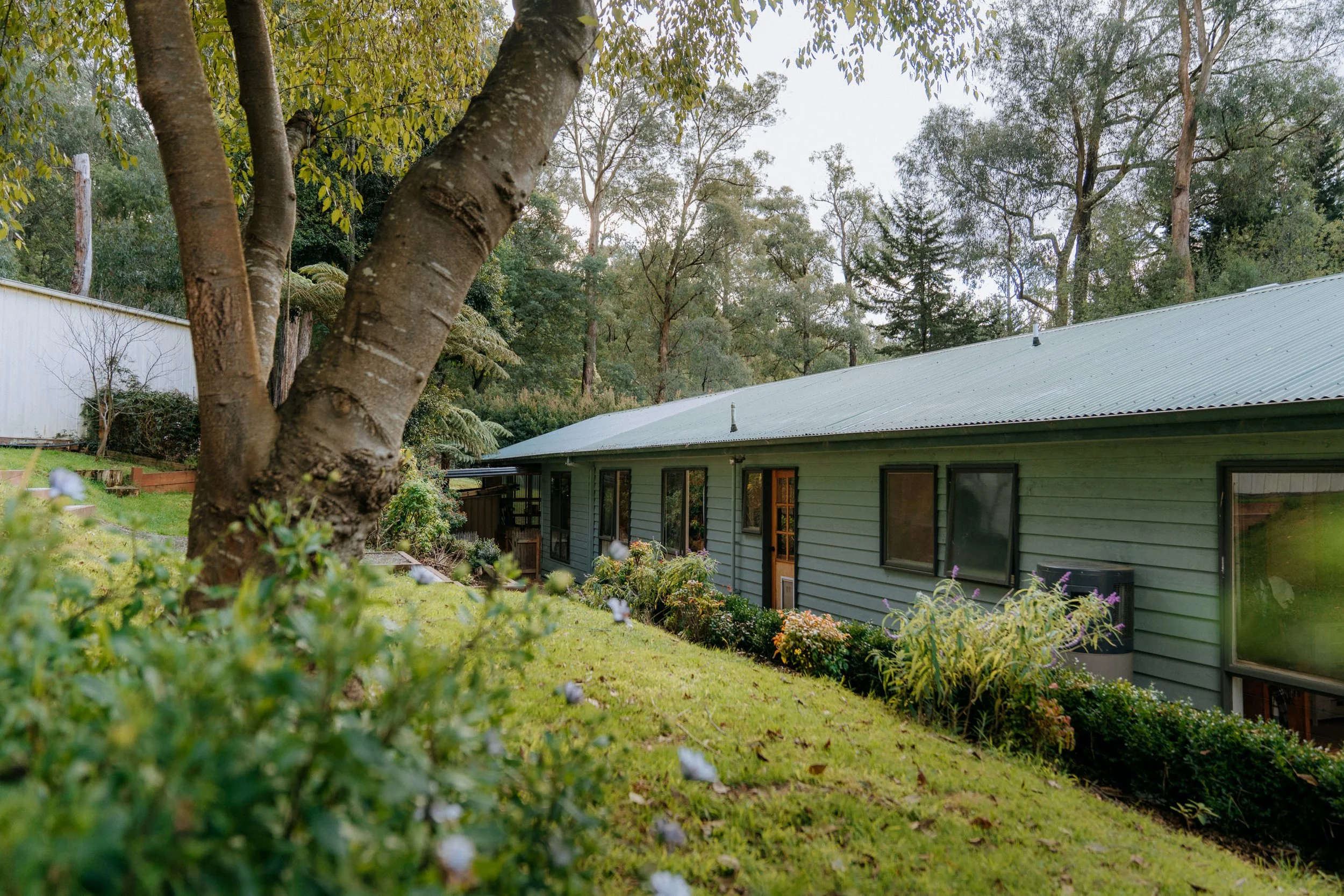 34 Second Ave Cockatoo 043 Woods Estate Agents Jaccob McKay.jpg