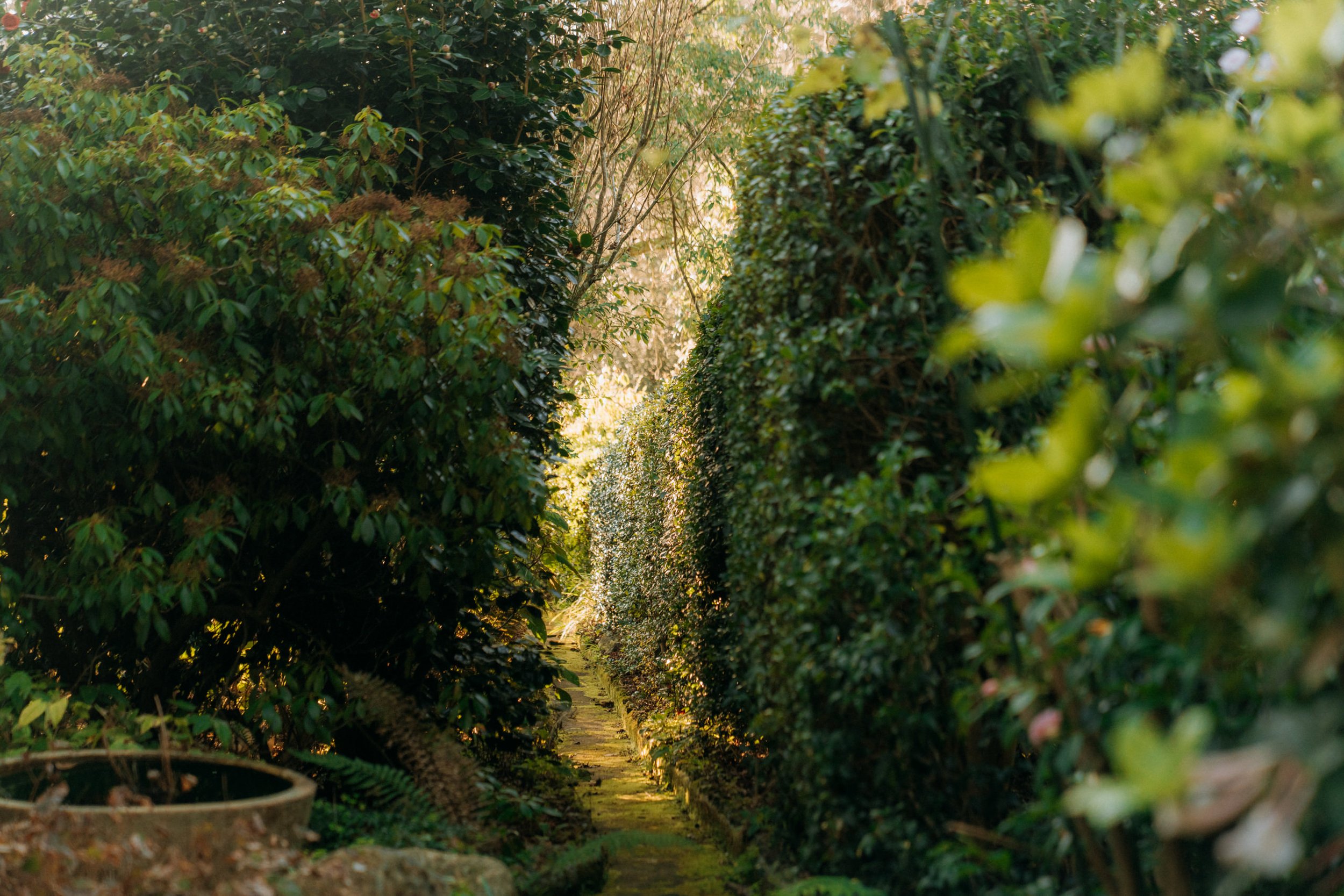 14 Cards Lane Olinda 066 Woods Estate Agents Jaccob McKay.JPG