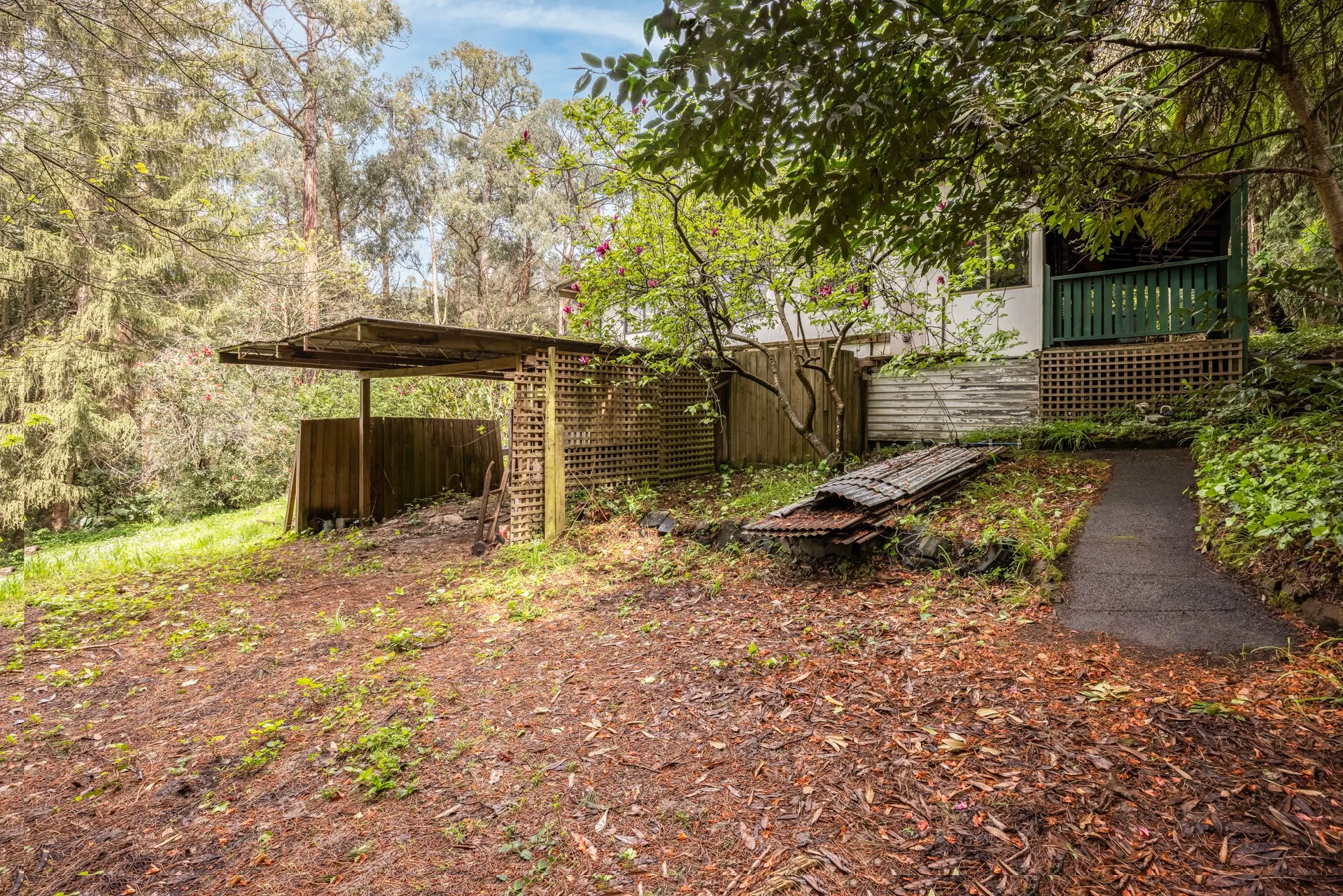 5 Fern Gully Rd - G-Web-32.jpg