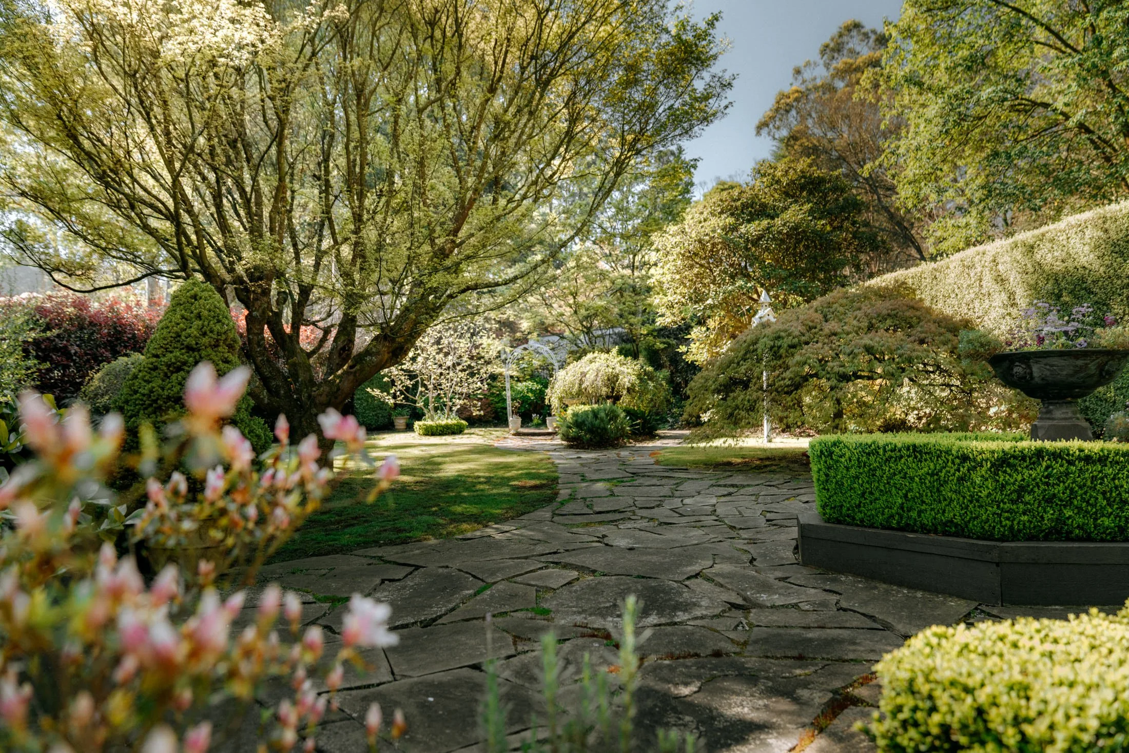 23 Prion Rd Mt Dandenong 156_DSC07806.jpg