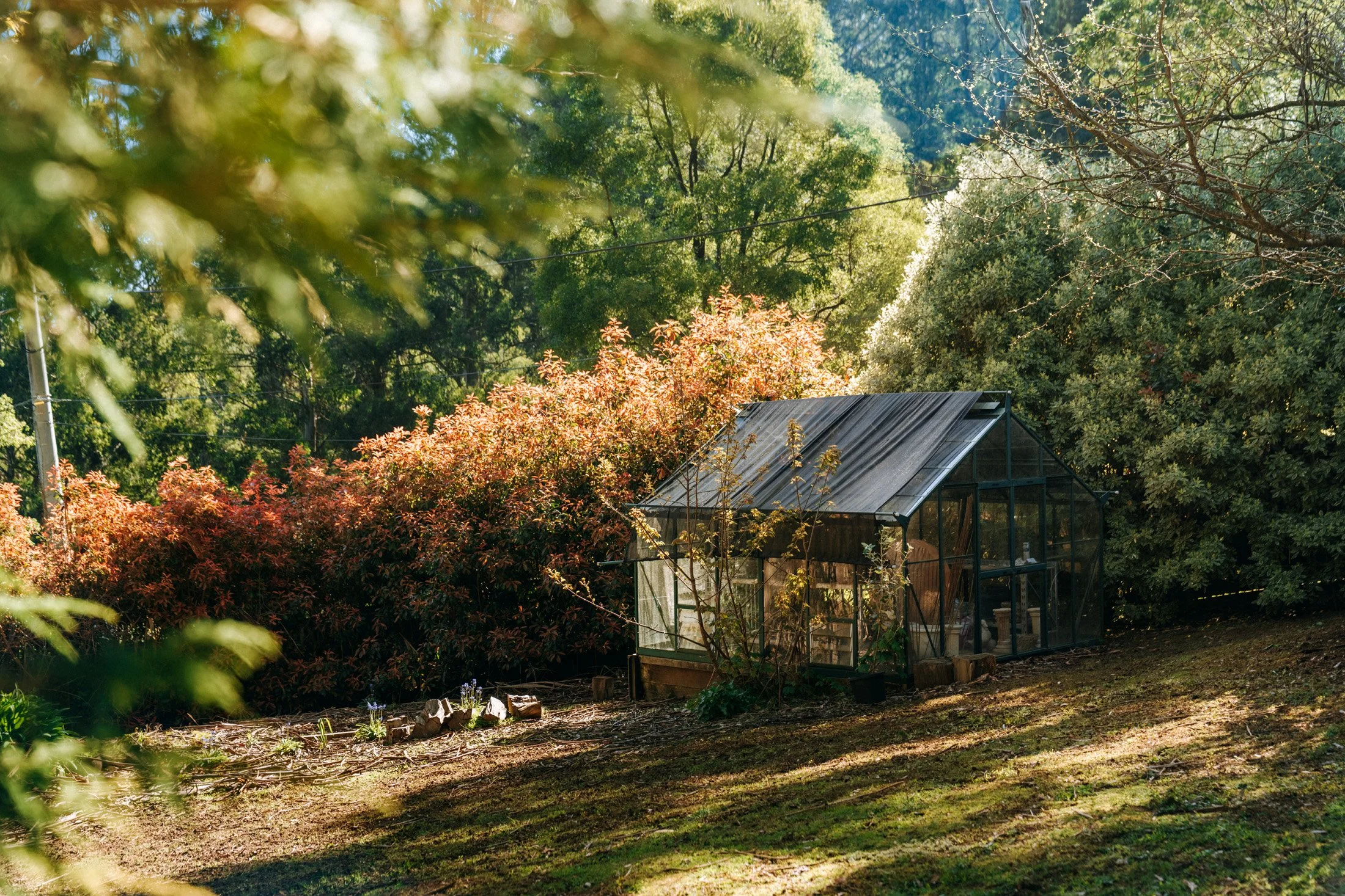 23 Prion Rd Mt Dandenong 214_DSC07783-HDR.jpg