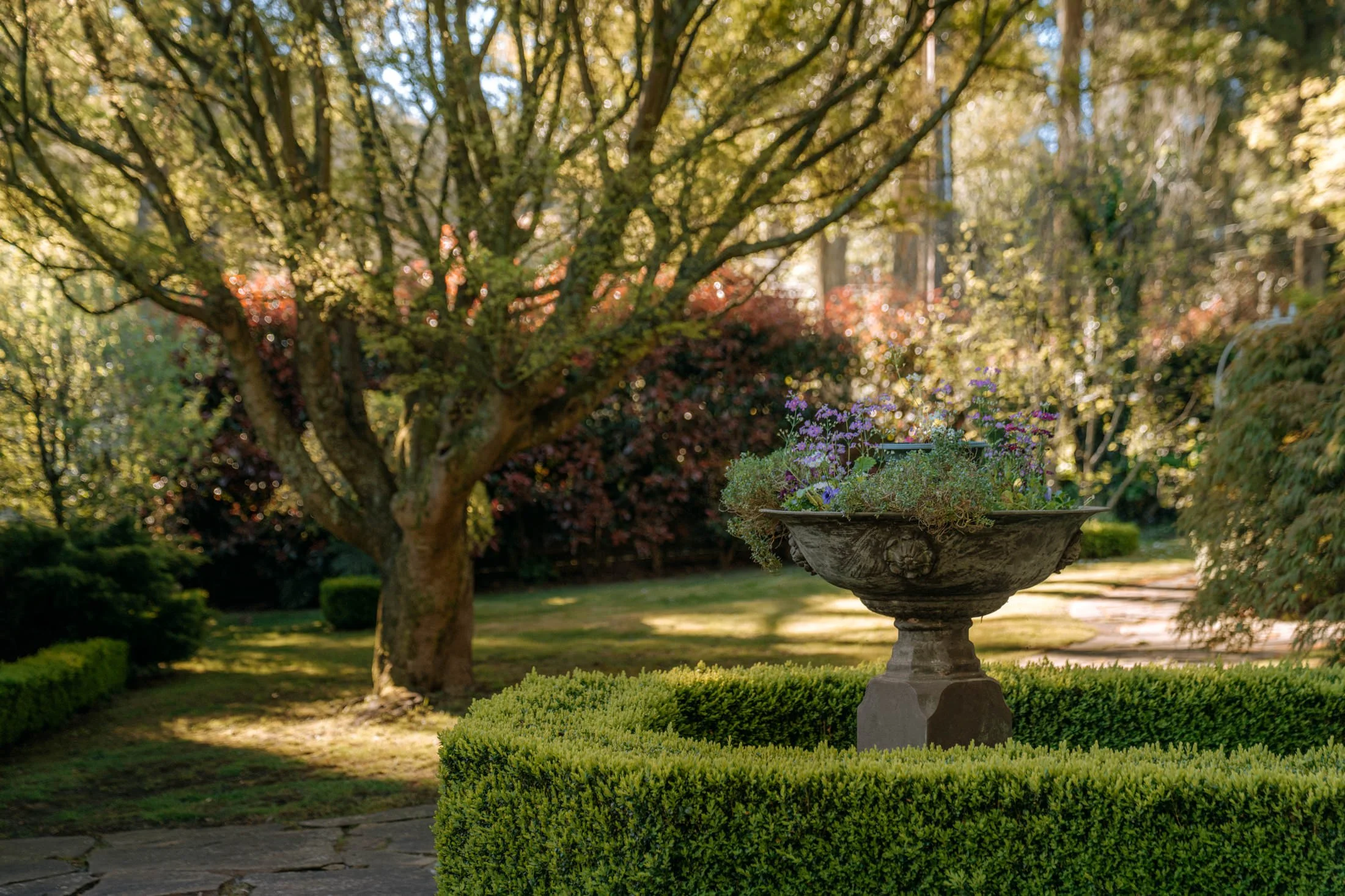 23 Prion Rd Mt Dandenong 163_DSC08007.jpg