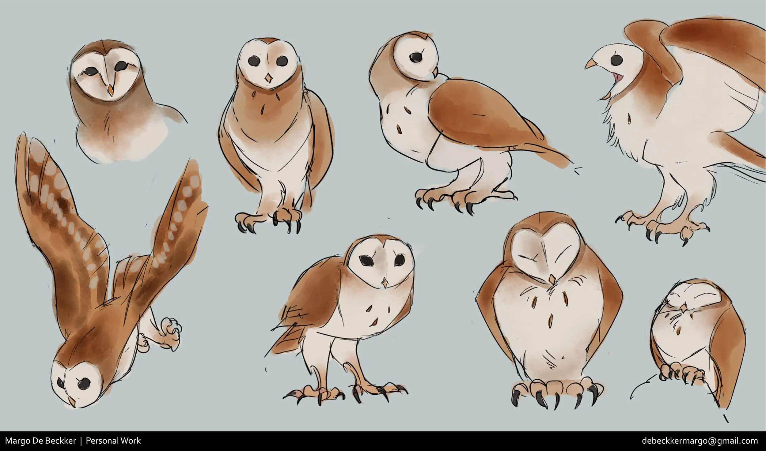 owl.jpg