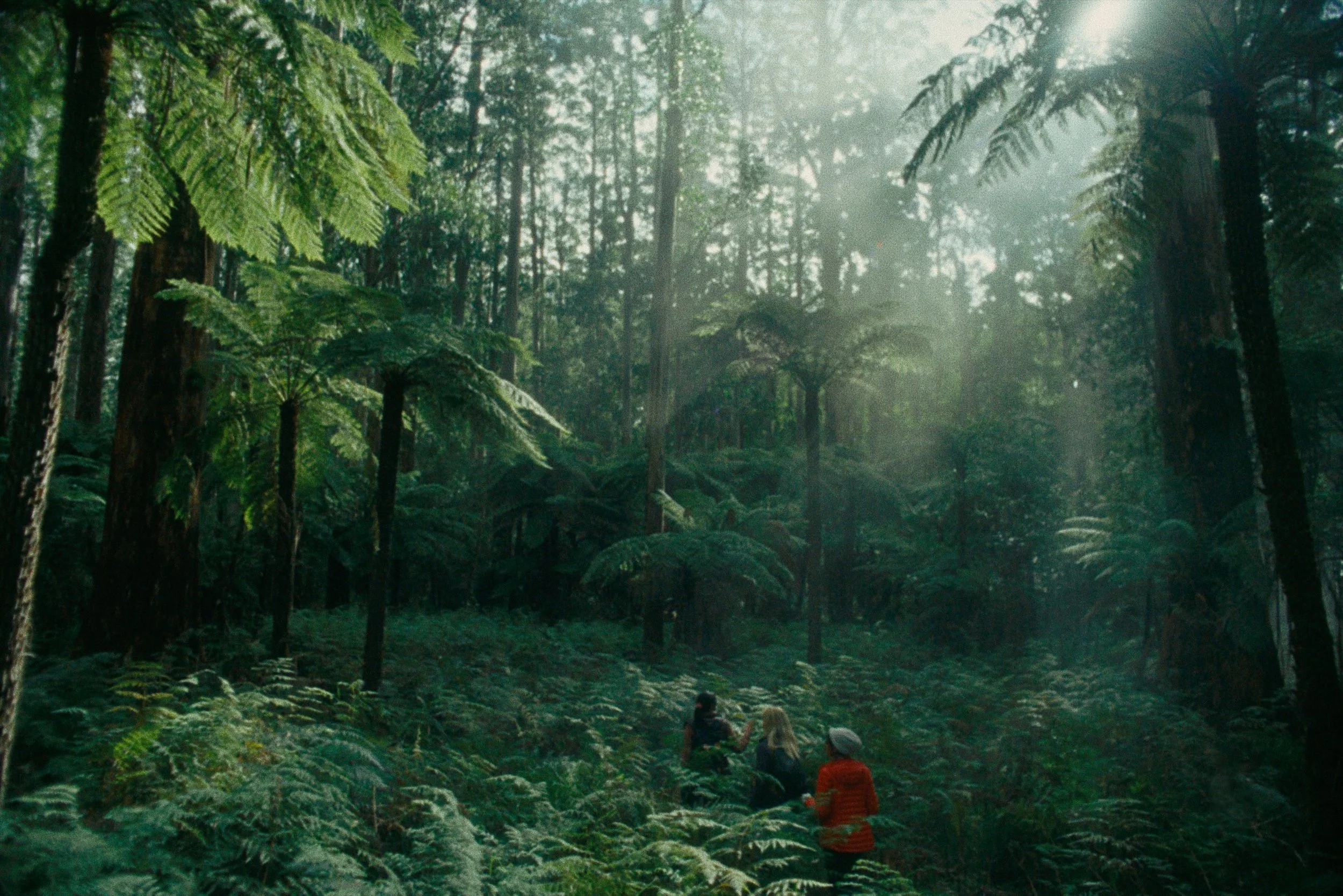 Director Jared Daperis1.JPG