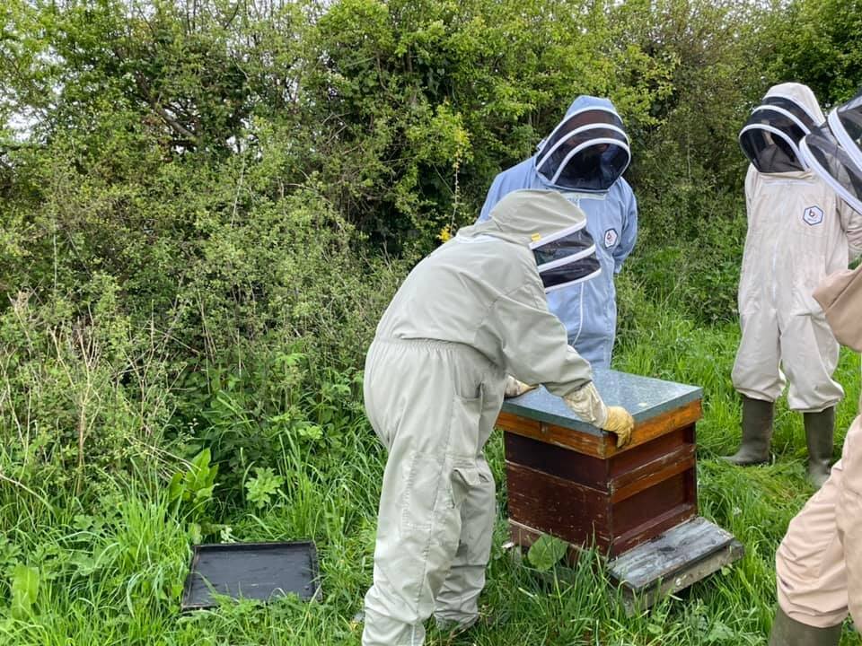 Beekeeping with Anglesey Beekeeping Association — Anglesey Beekeepers