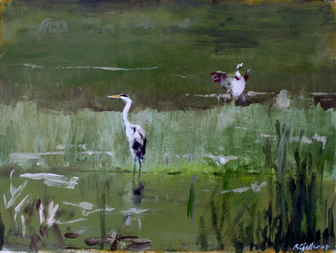 Reiher-Gans_mittel.jpeg
