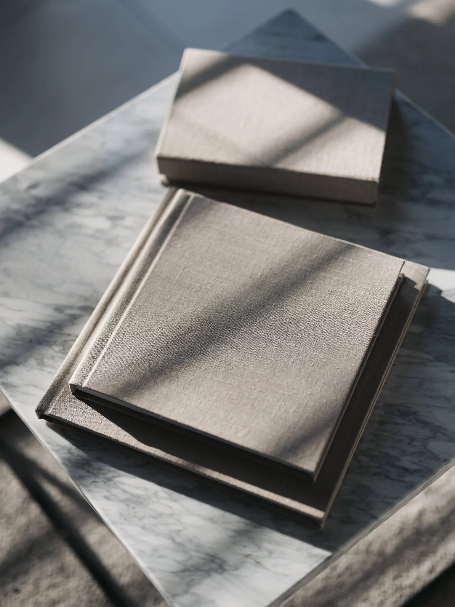 Premium Pastel Earth Gray