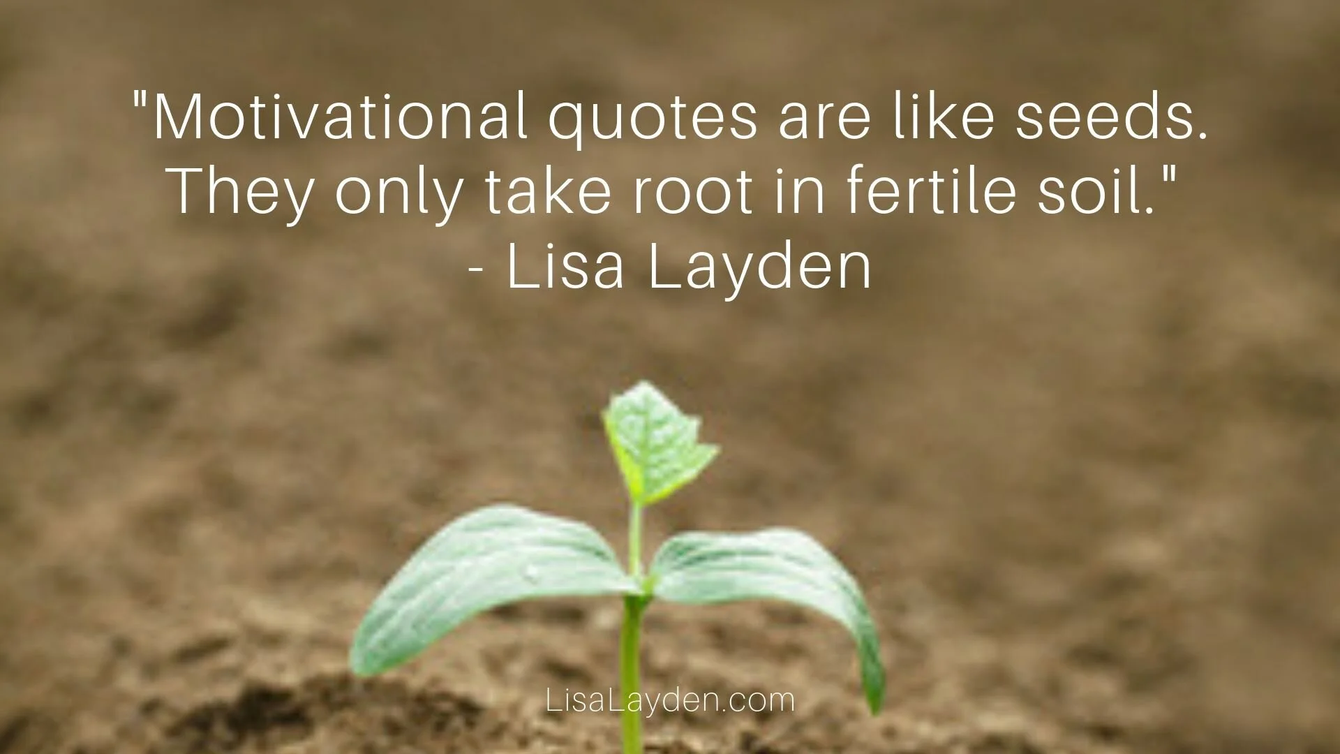 Quotes - “Motivational quotes are like seeds. They only take root in fertile soil.” – Lisa Layden