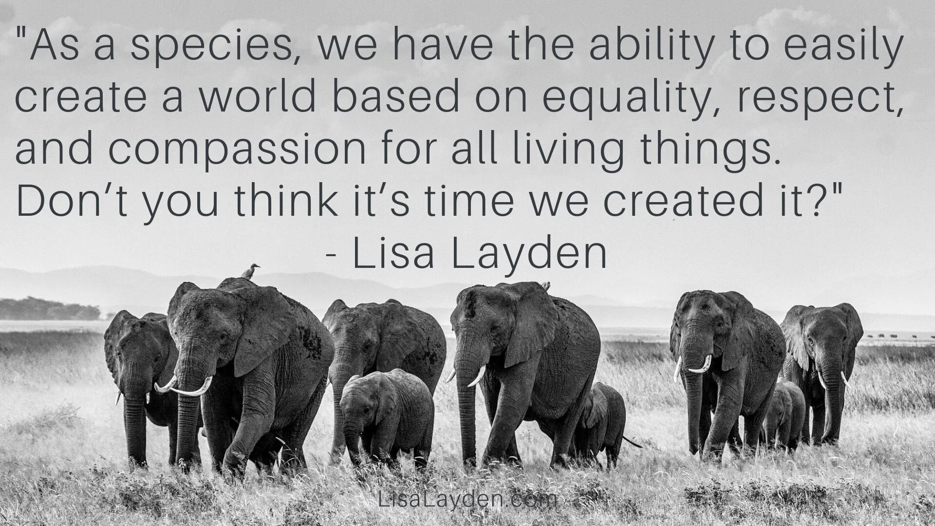 Quote - “As a species, we have the ability to easily create a world based on equality, respect, and compassion for all living things. Don’t you think it’s time we created it?” – Lisa Layden