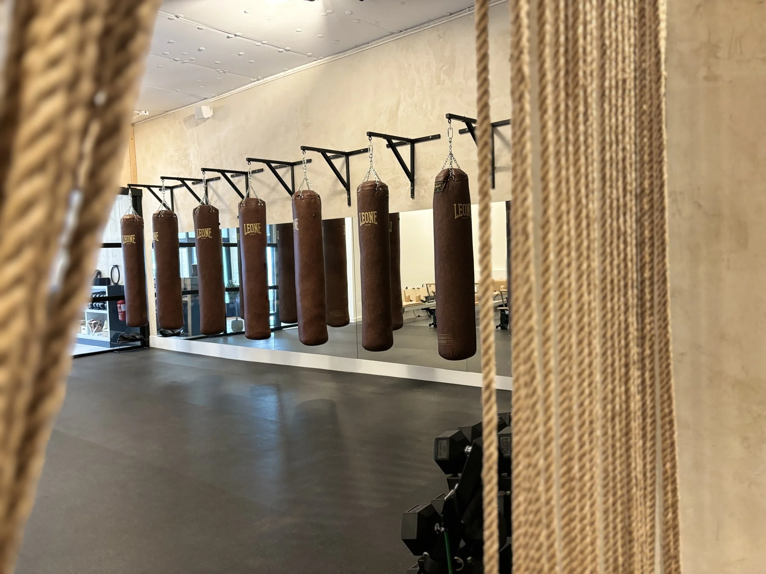 Zona de Boxeo de EQ Viso (Madrid).