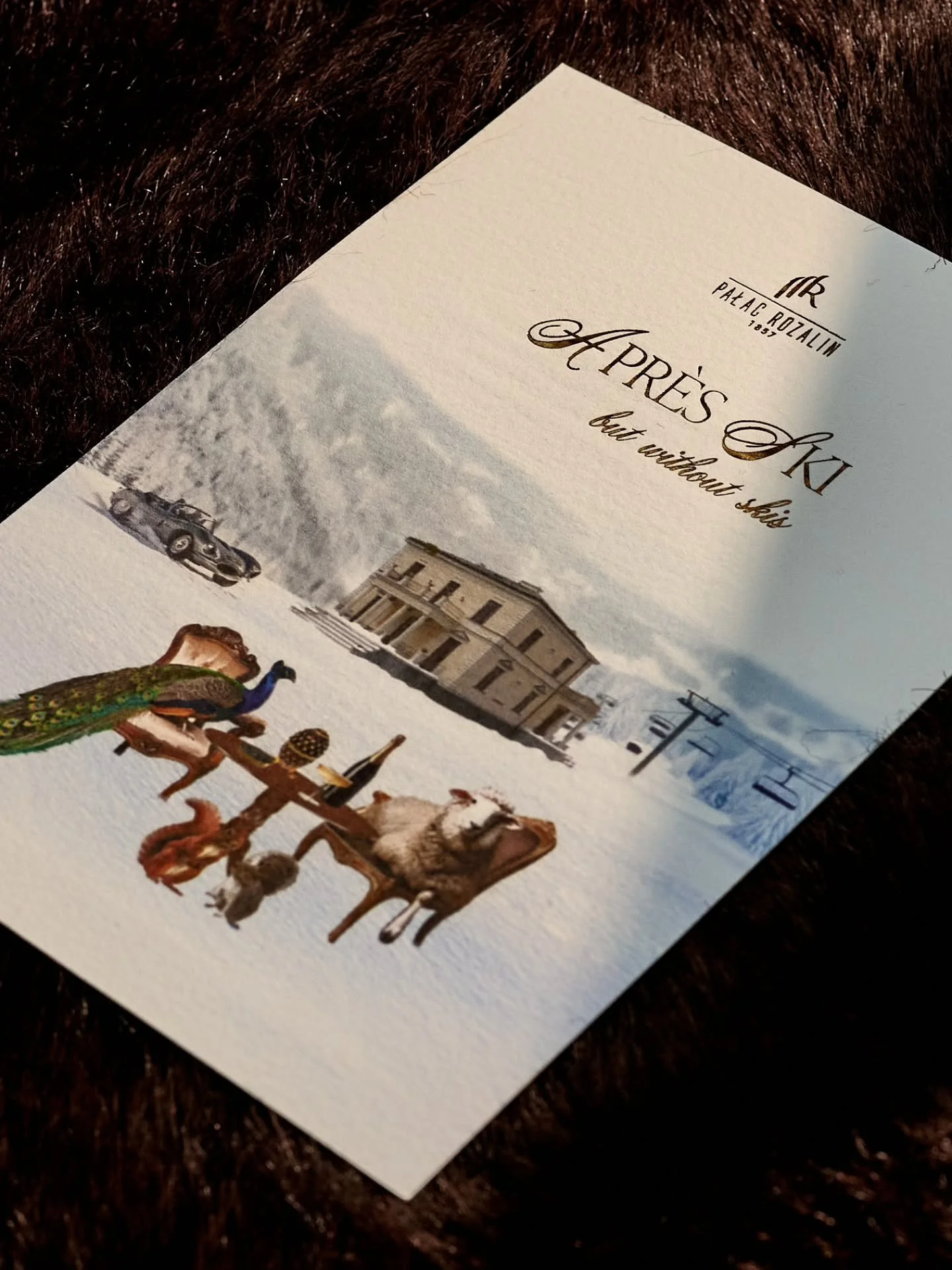 When your brief includes animals, extravaganza, fur, skiing, cars, and architecture, you gotta say  yes. ✨️

See you @palacrozalin in February!
