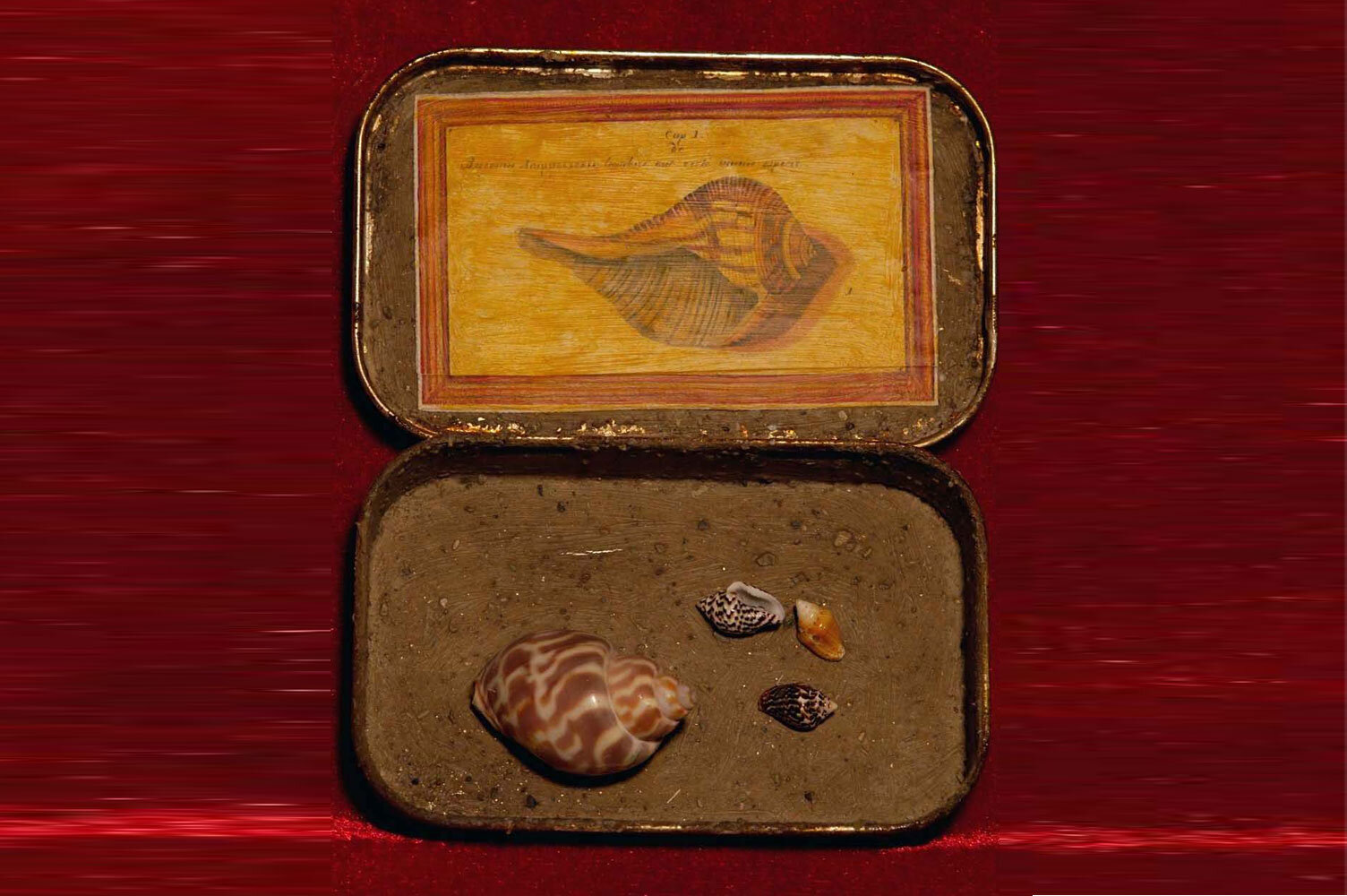 Shell Game