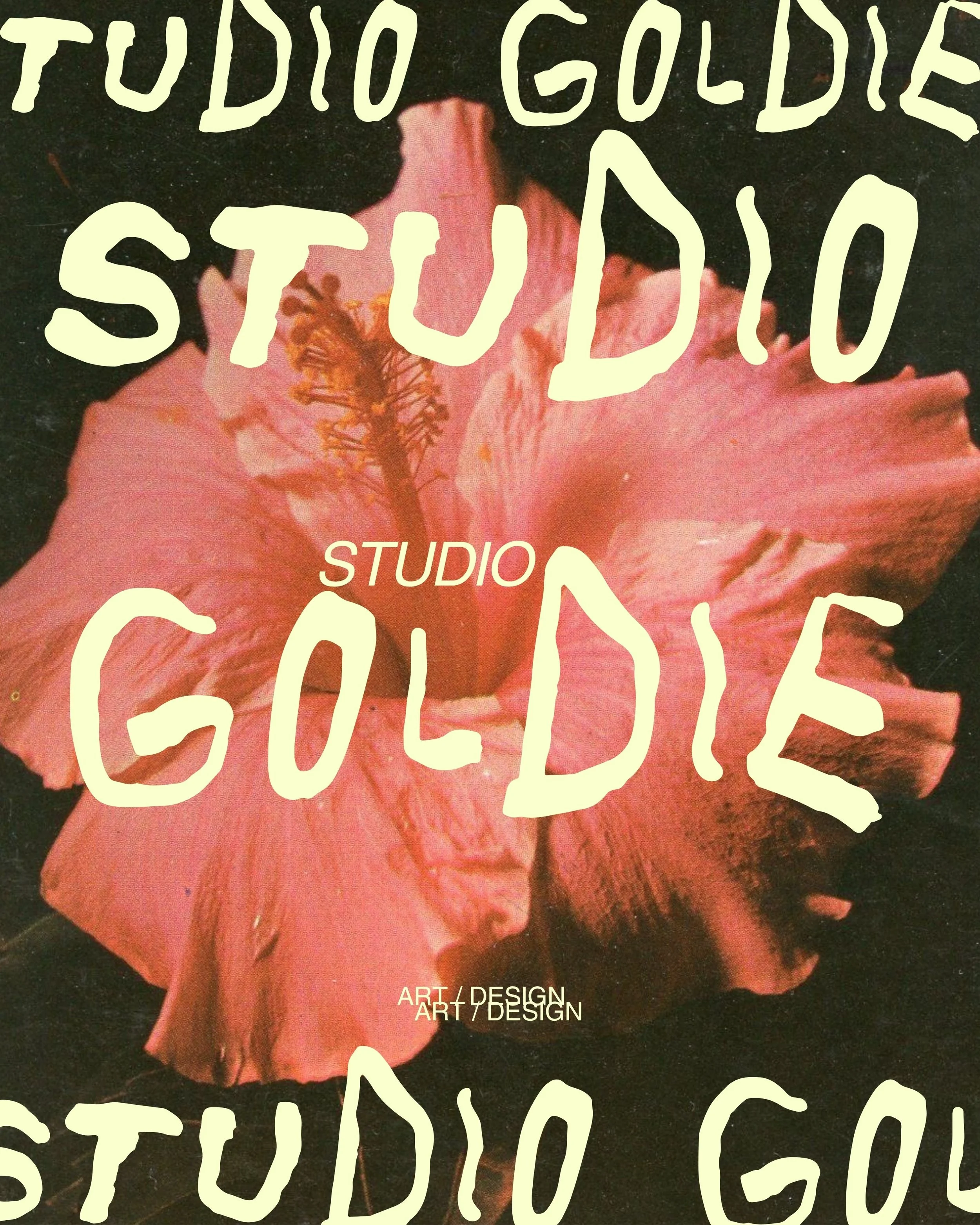 GOLDIE-2.jpg