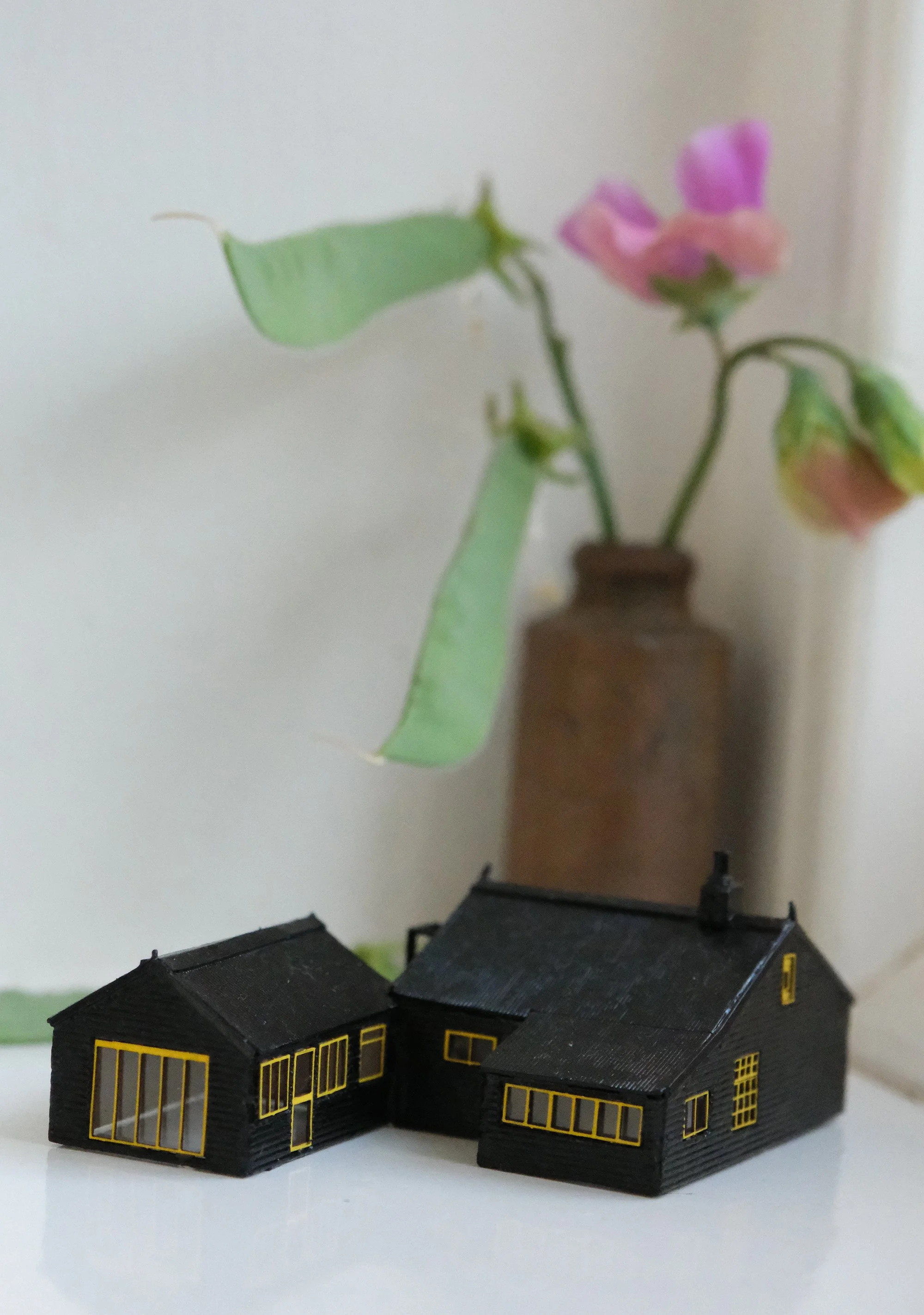 prospect cottage 3.jpg