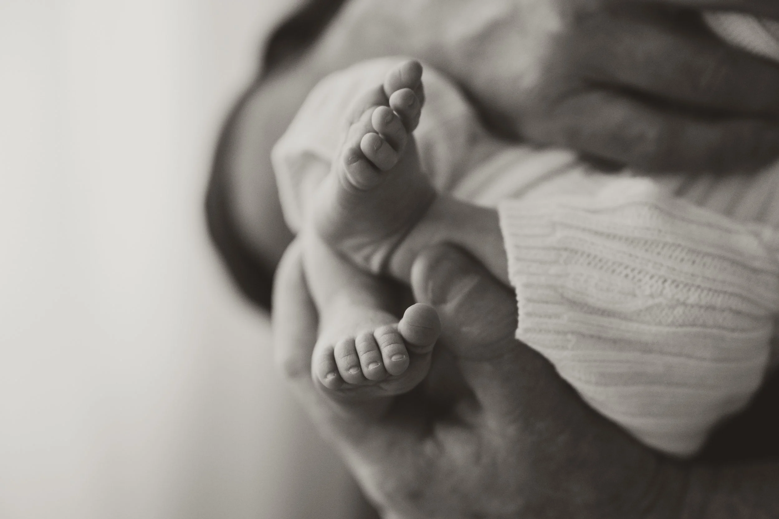 Hello and welcome to the second half of the year!

A quick little share from a laugh filled morning with Imogen, Justin, and their darling Boston. One of those sessions went spent more time yapping than taking photos (almost, anyway!)

#alburynewborn
