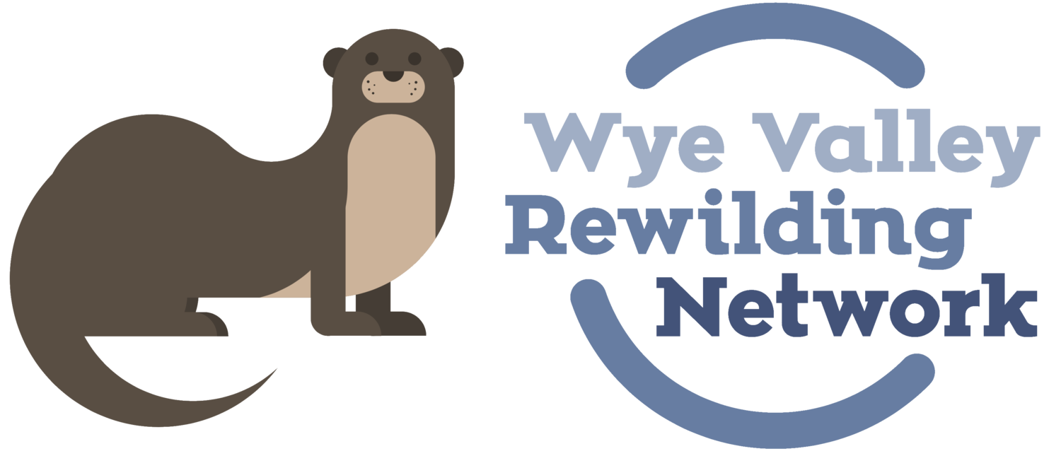 Wye Valley Rewilding Network