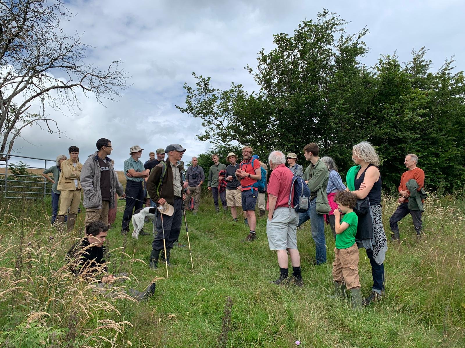 Wilder Pentwyn project walk - July 2024