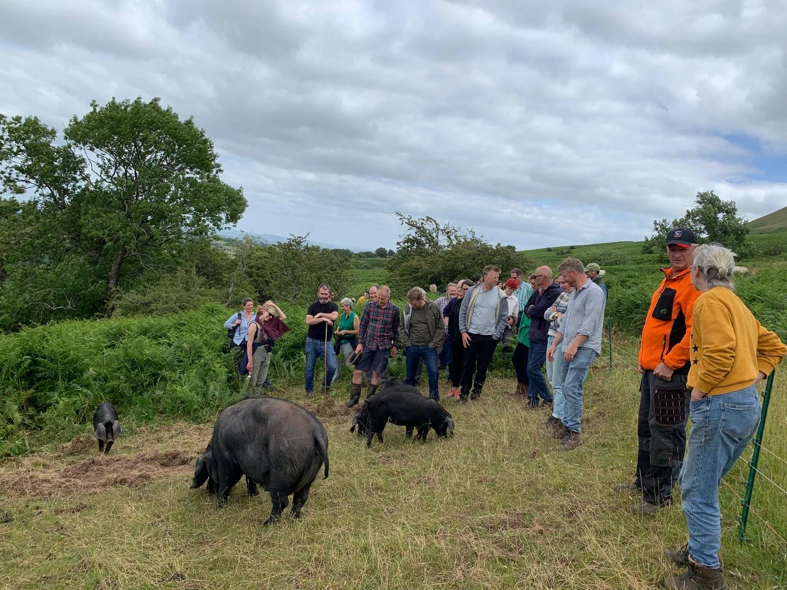 WhatsApp Image 2024-08-12 at 08.36.00 (1).jpeg
