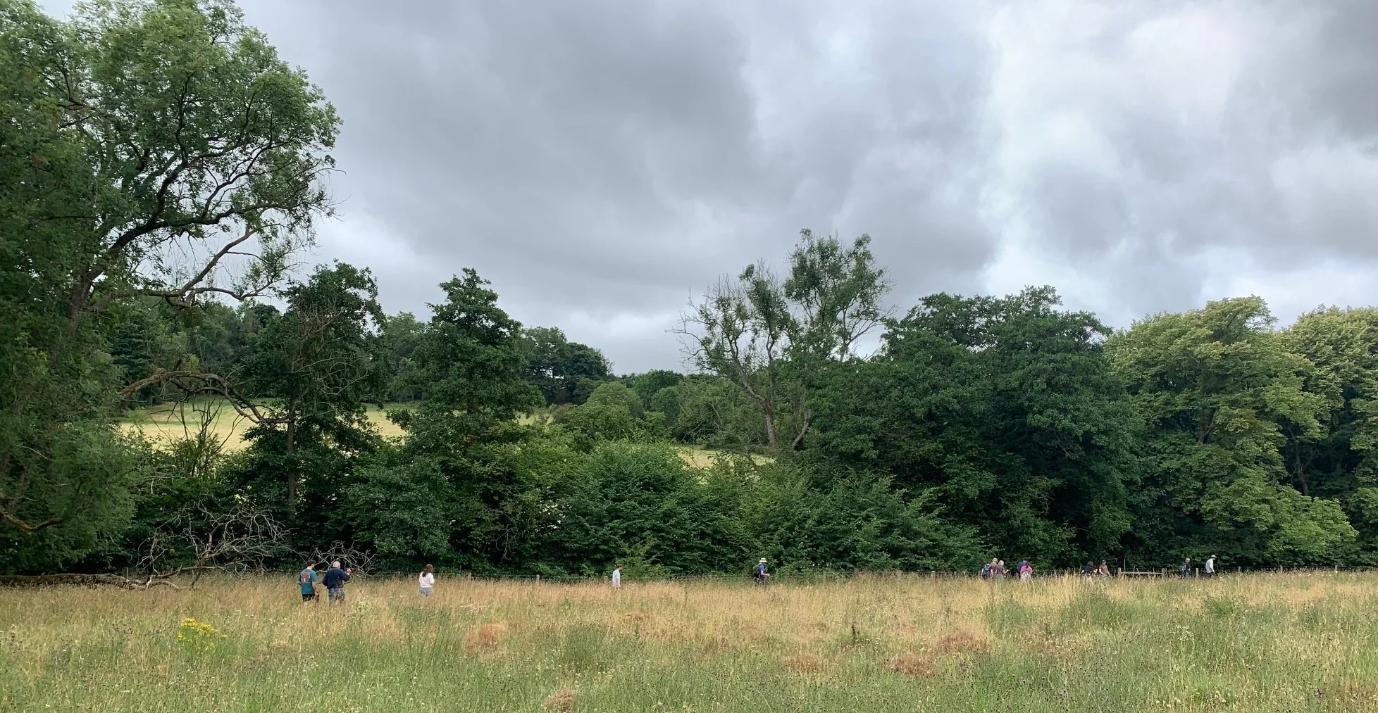 Visit to The Meadowlands 