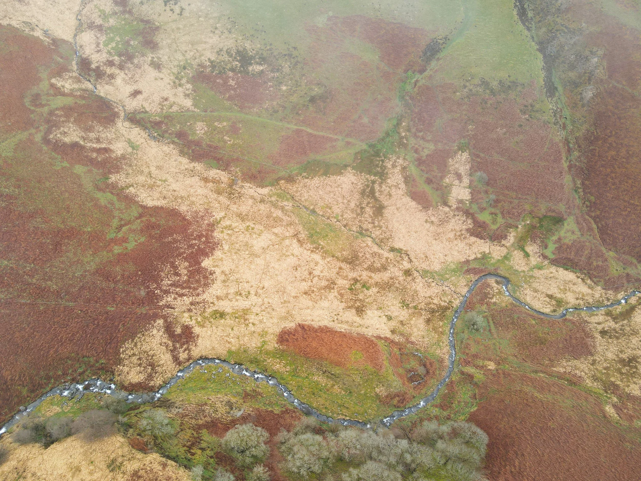 Wye Valley Wilding in conversation with Tir Natur