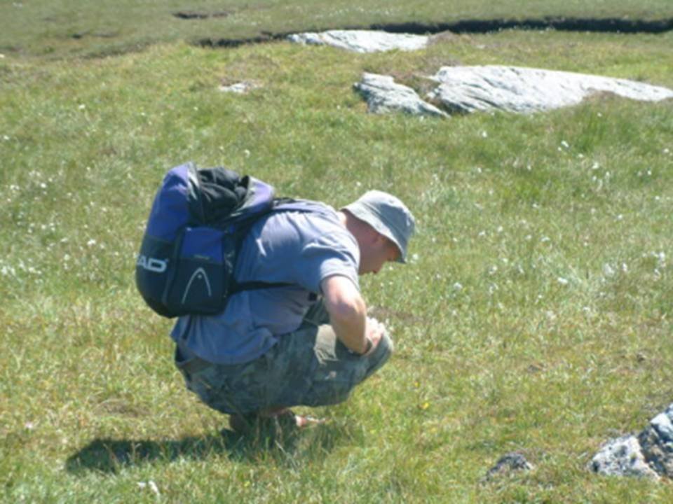 Online Talk: Managing Grassland for Invertebrates 