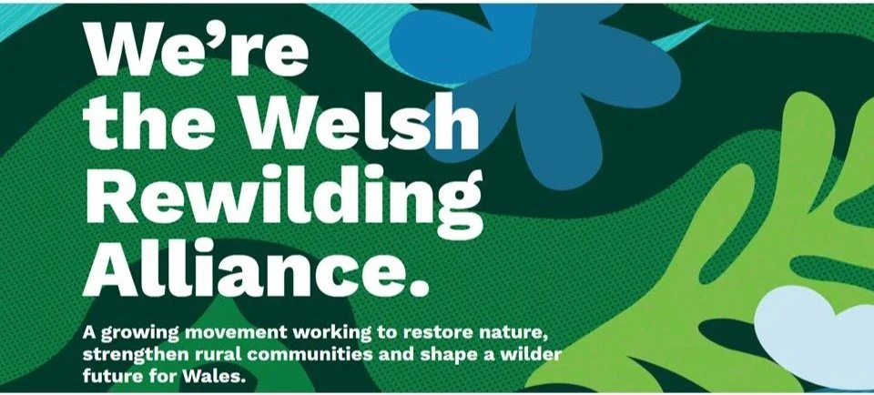 The Welsh Rewilding Alliance &amp; Wye Valley Wilding  